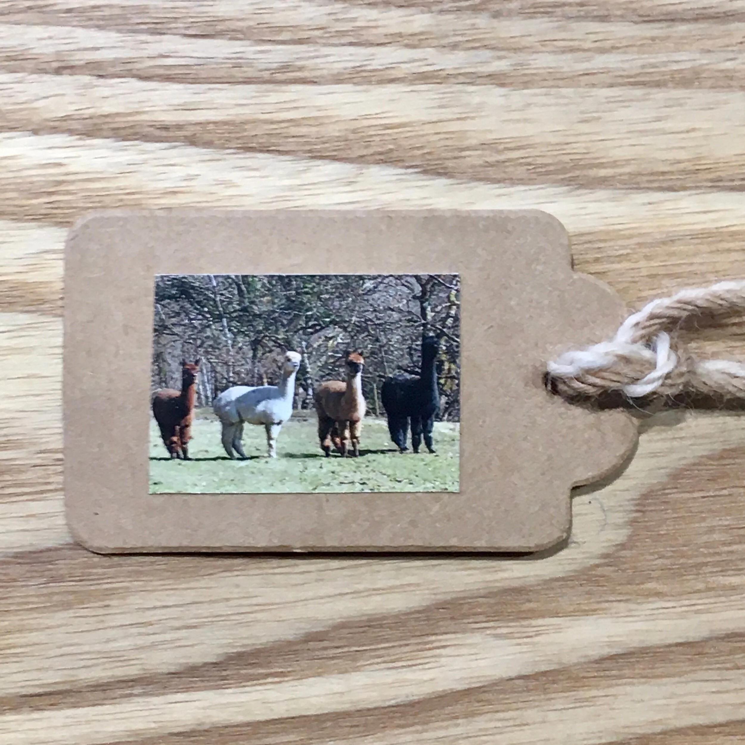 D196F4D8-92CC-4DC1-BC47-B4DD8AE2853B