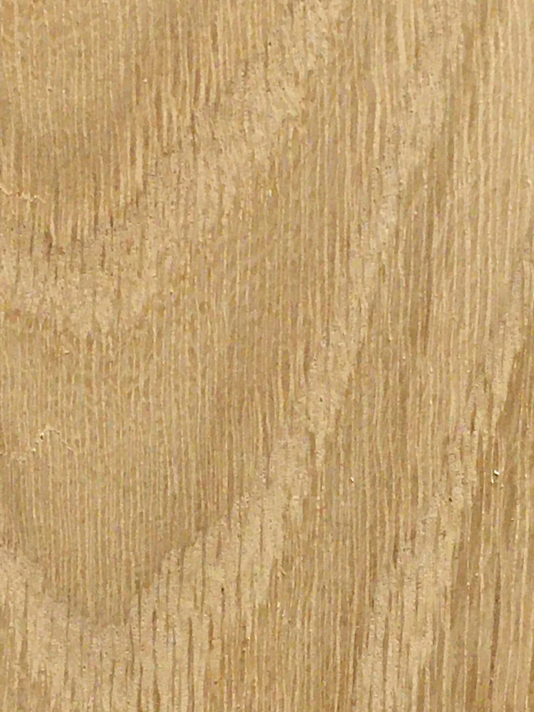 F94CD3E3-4FE1-4F92-A4F2-30FCD977232A