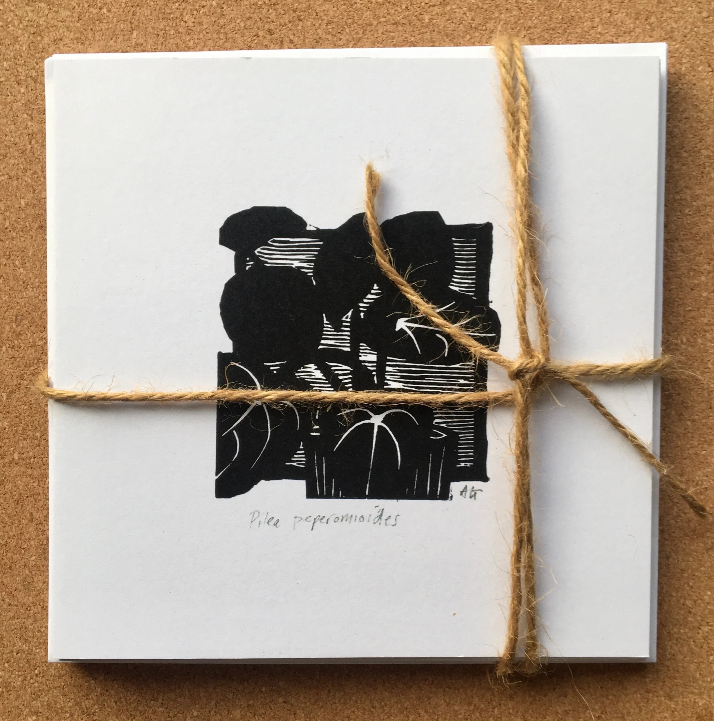 B07A5DCC-C17B-4E1F-B6A6-71110A6505DD