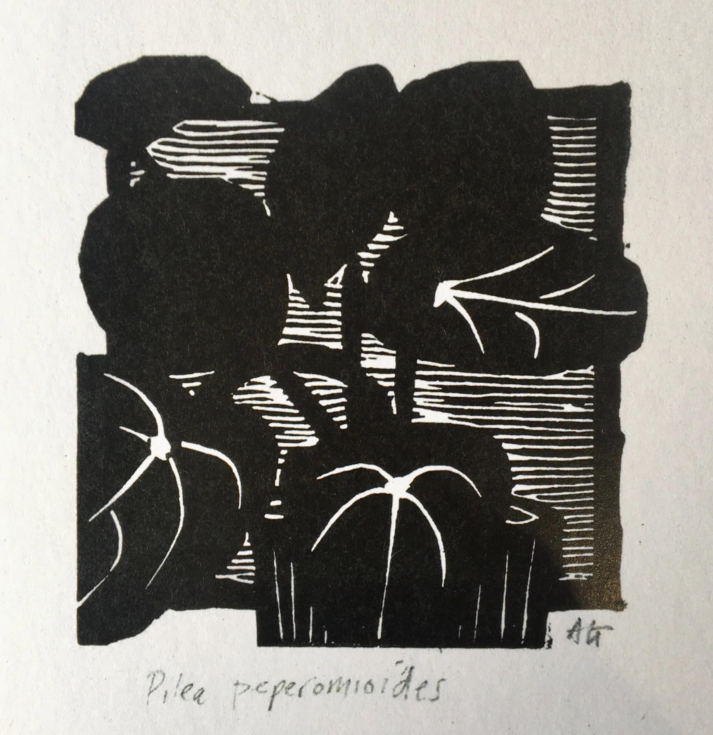 5BE688FB-4550-49F8-8D5E-0BB8DFC3EA32