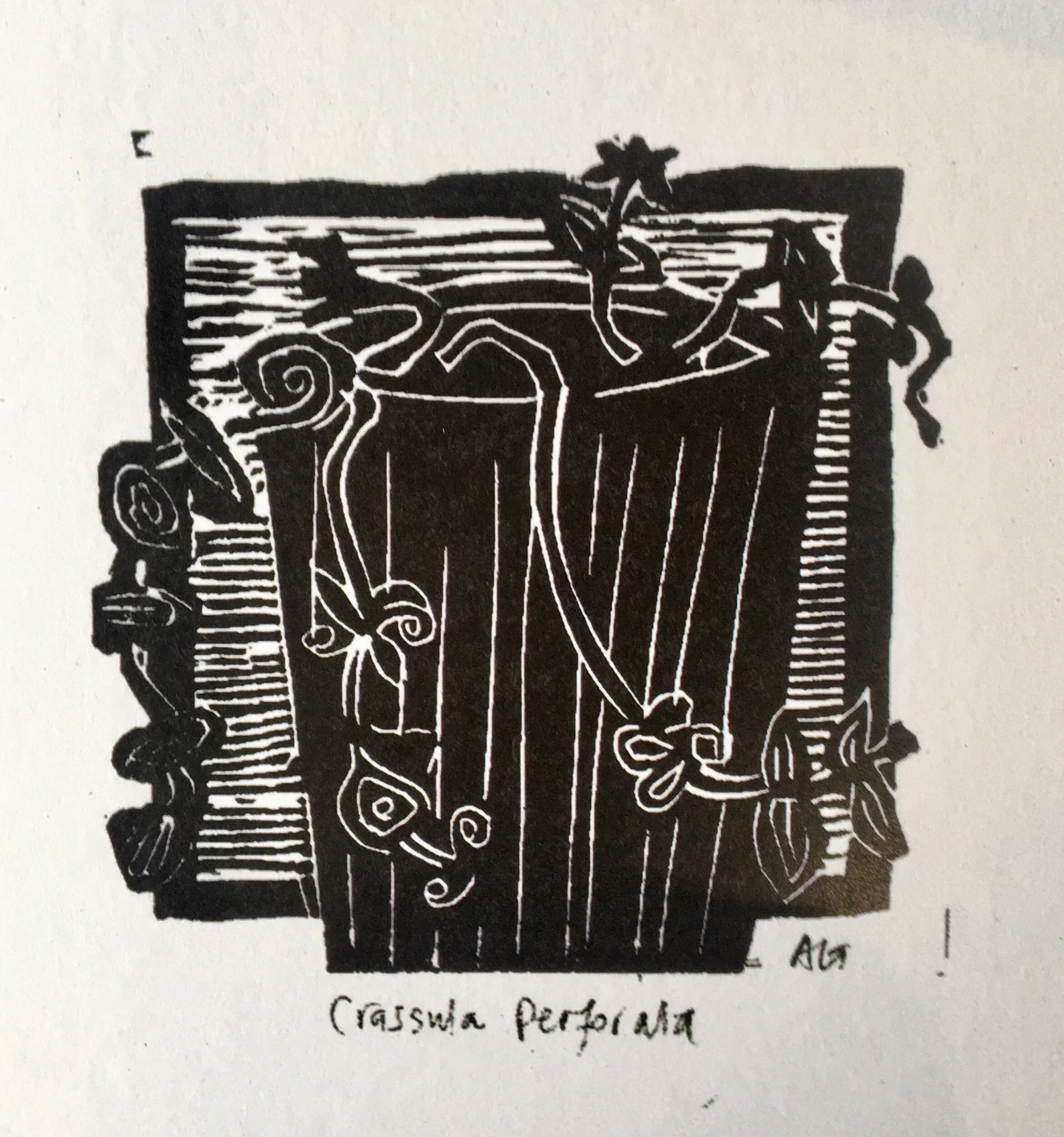 59432573-1849-4DA8-A88A-46CA164F7E02