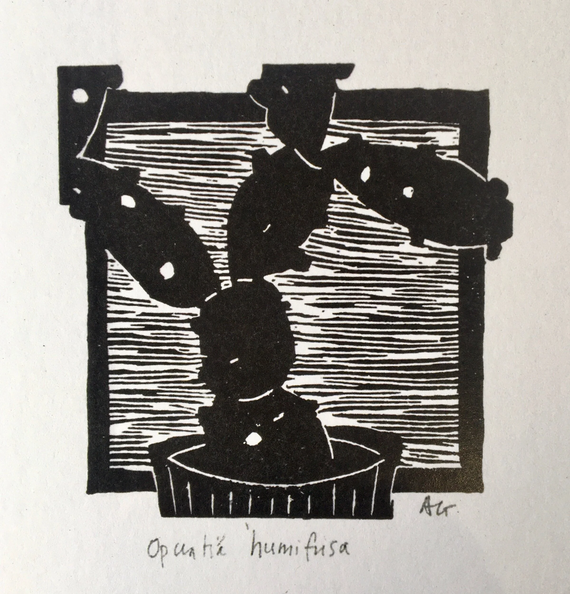 32351B00-08A0-41D5-9B0F-B5A4310B4C7F