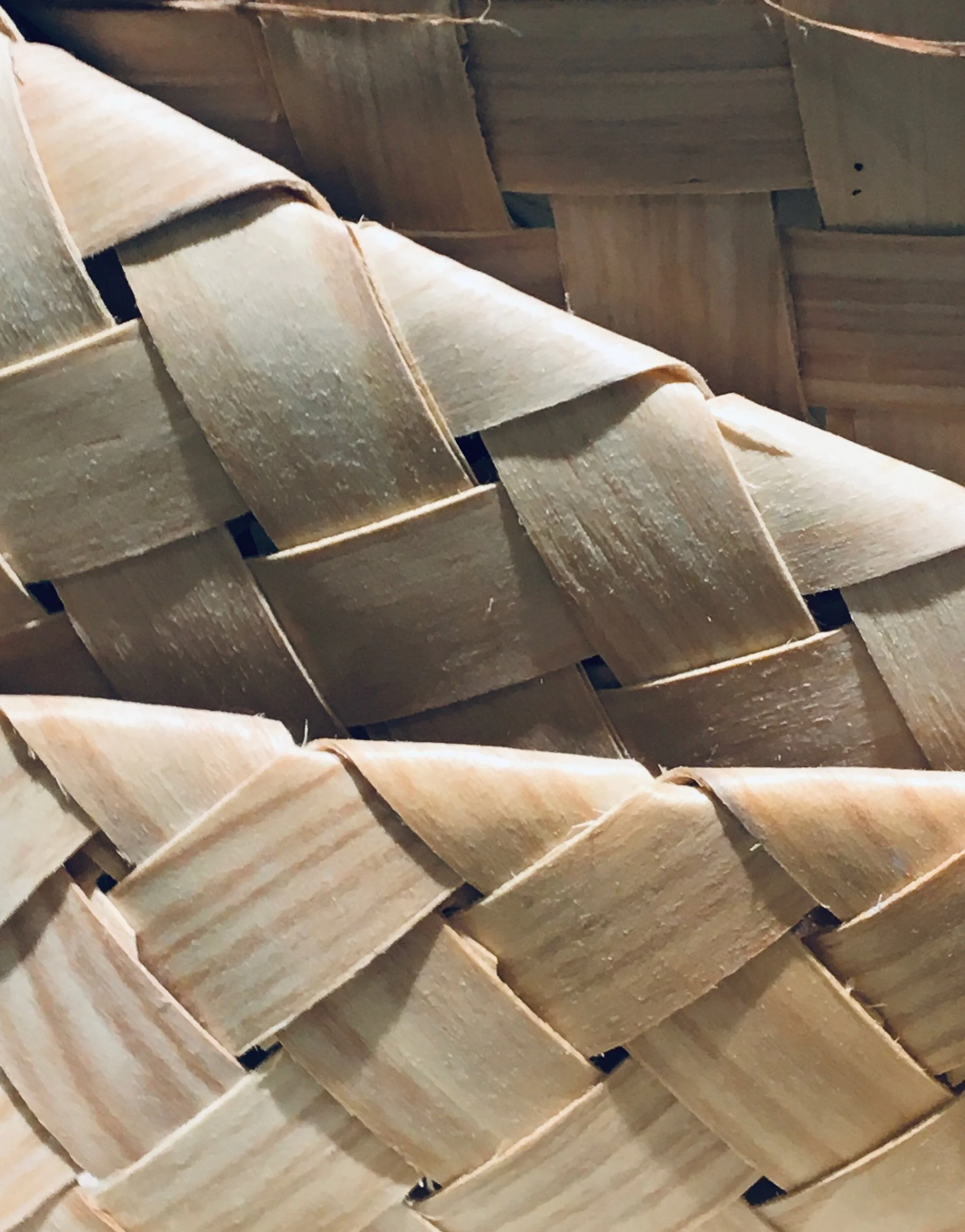 1F777B22-2A0A-4591-BB1F-8D7CD4E38B17