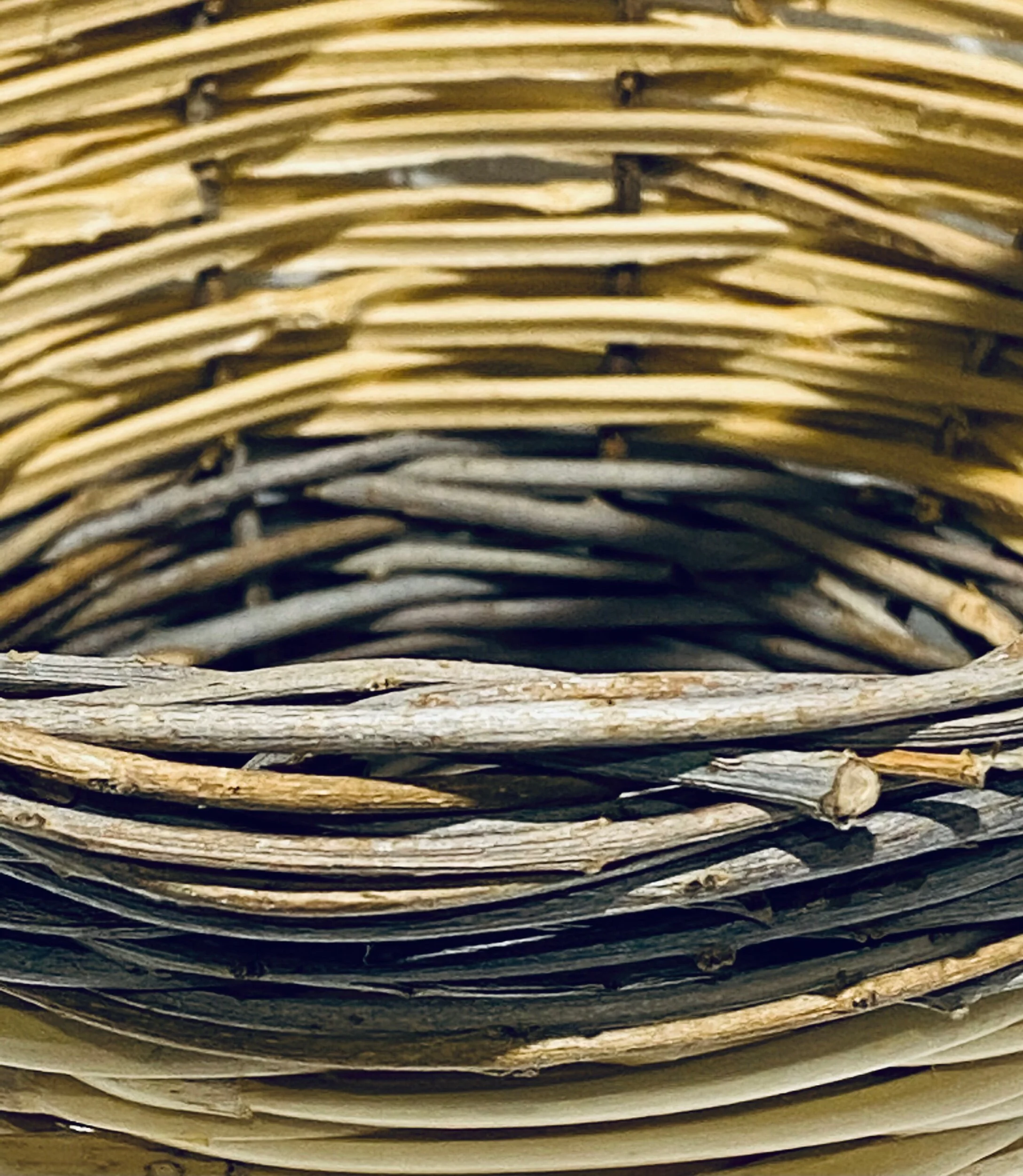 420D71C1-EAE8-46C0-8EEF-05A83A1BCC49