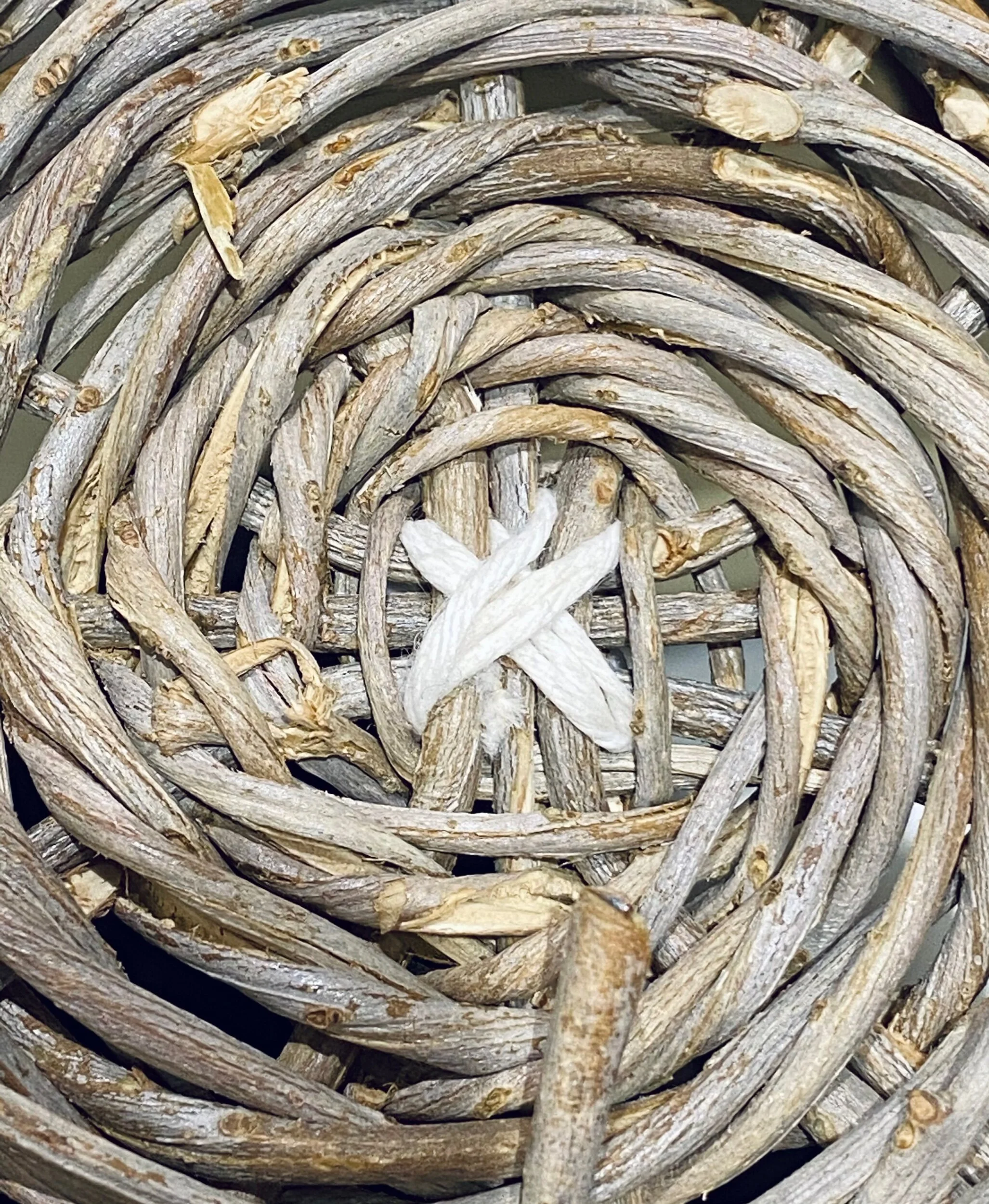 92F6C41B-B7FD-4AAC-98D1-2D76D3E79ADE