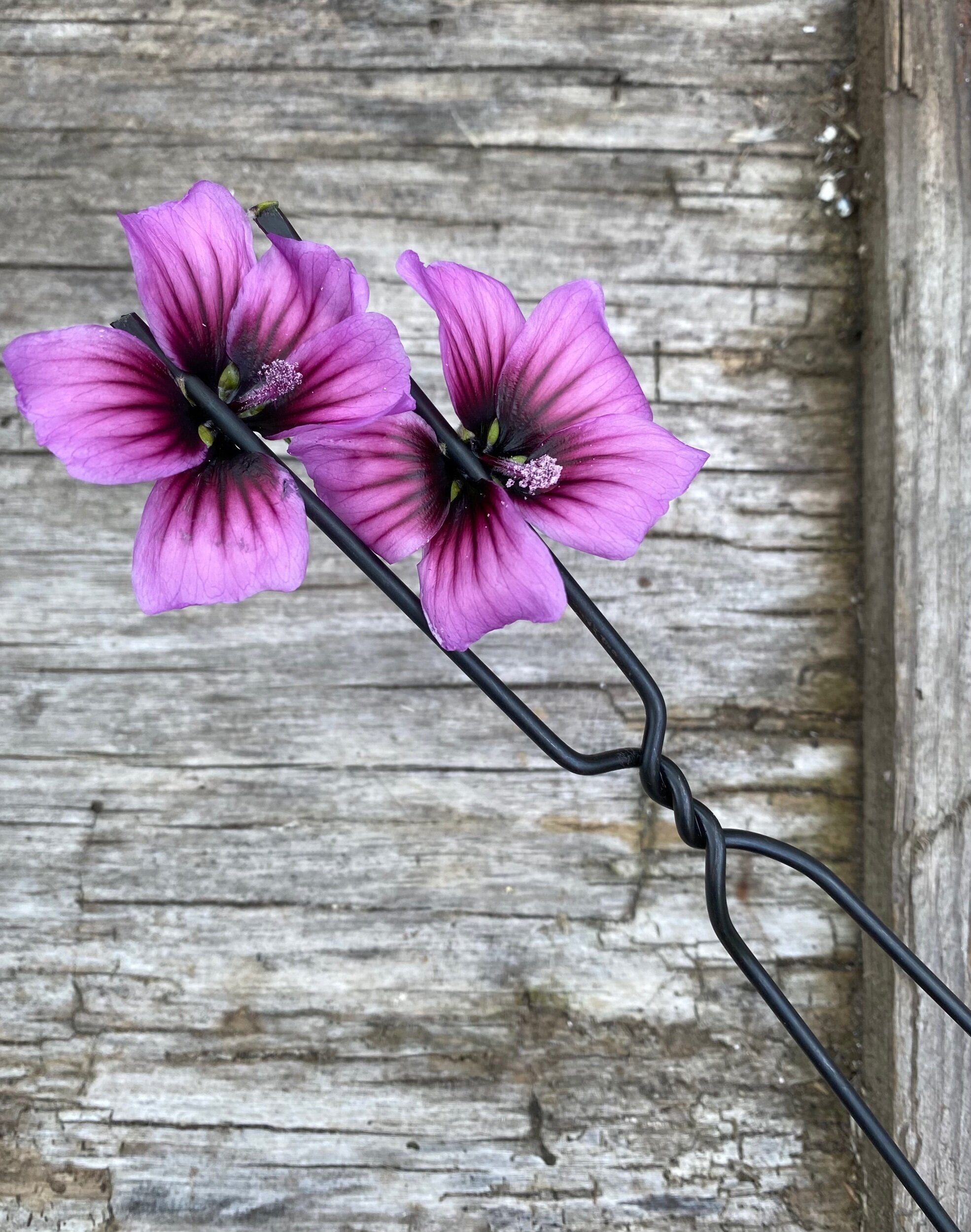 8B47E960-8D8C-483B-8A25-40512E05FF20