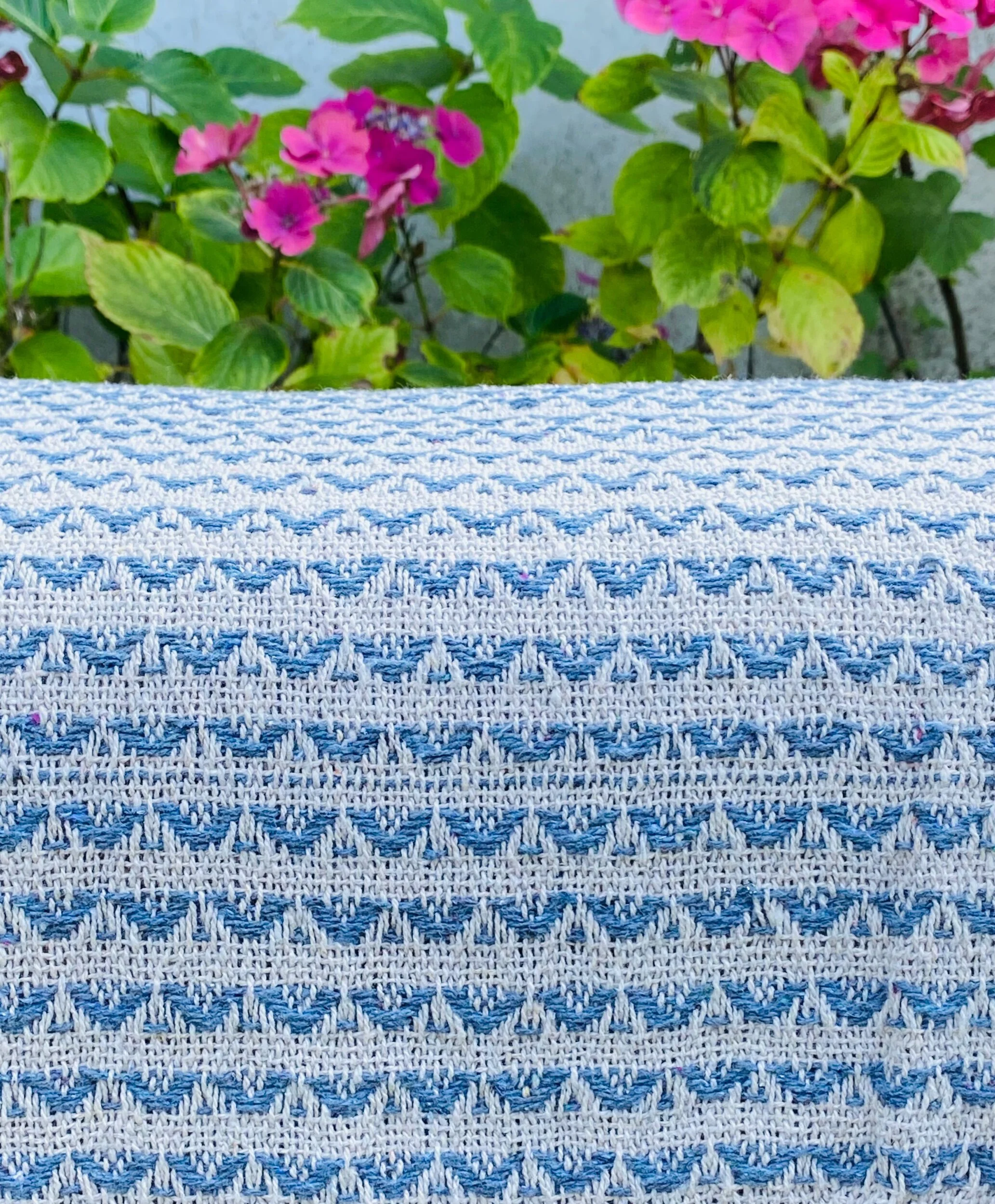 510137A4-1196-41C2-A3E0-972488FF4AB2