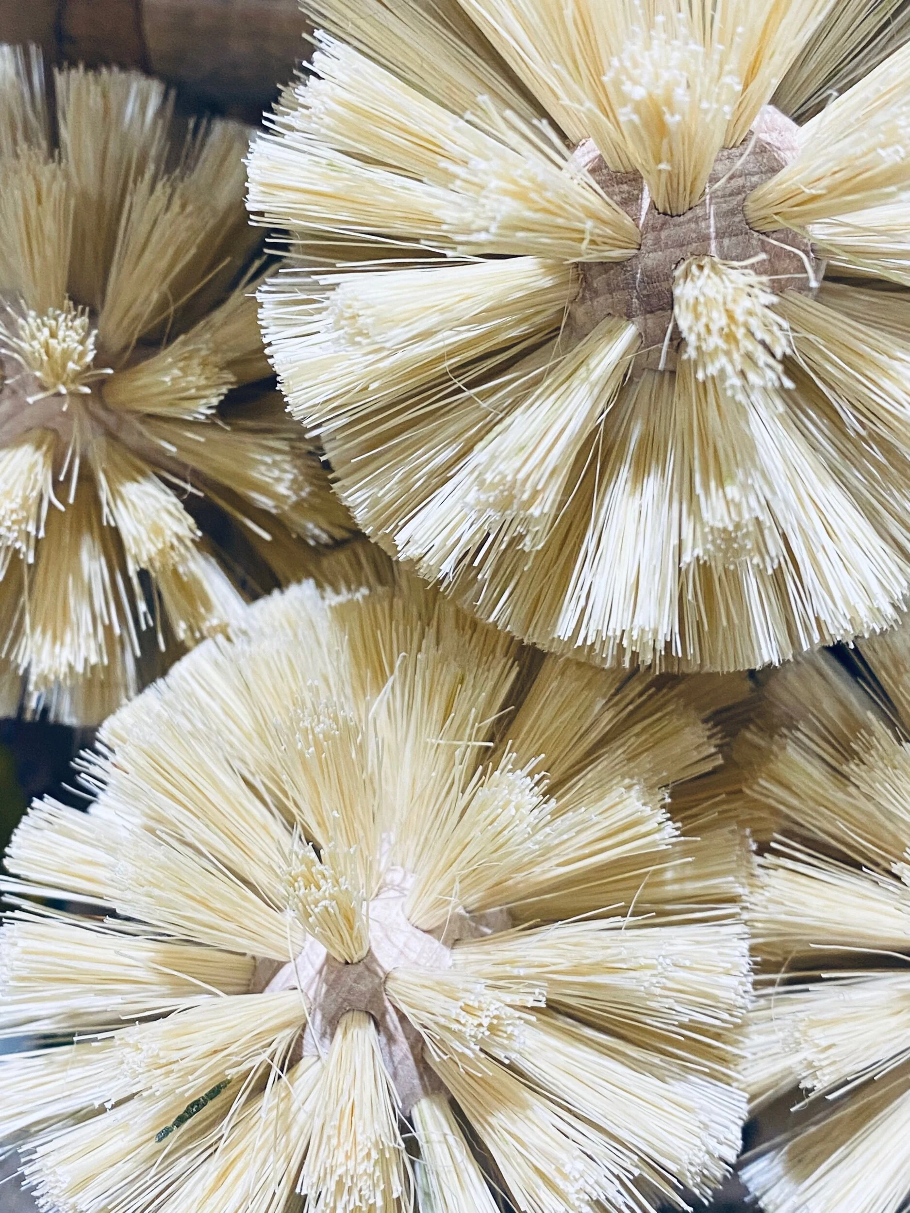 14A80F10-30B4-4366-986A-2AD42E2A699D