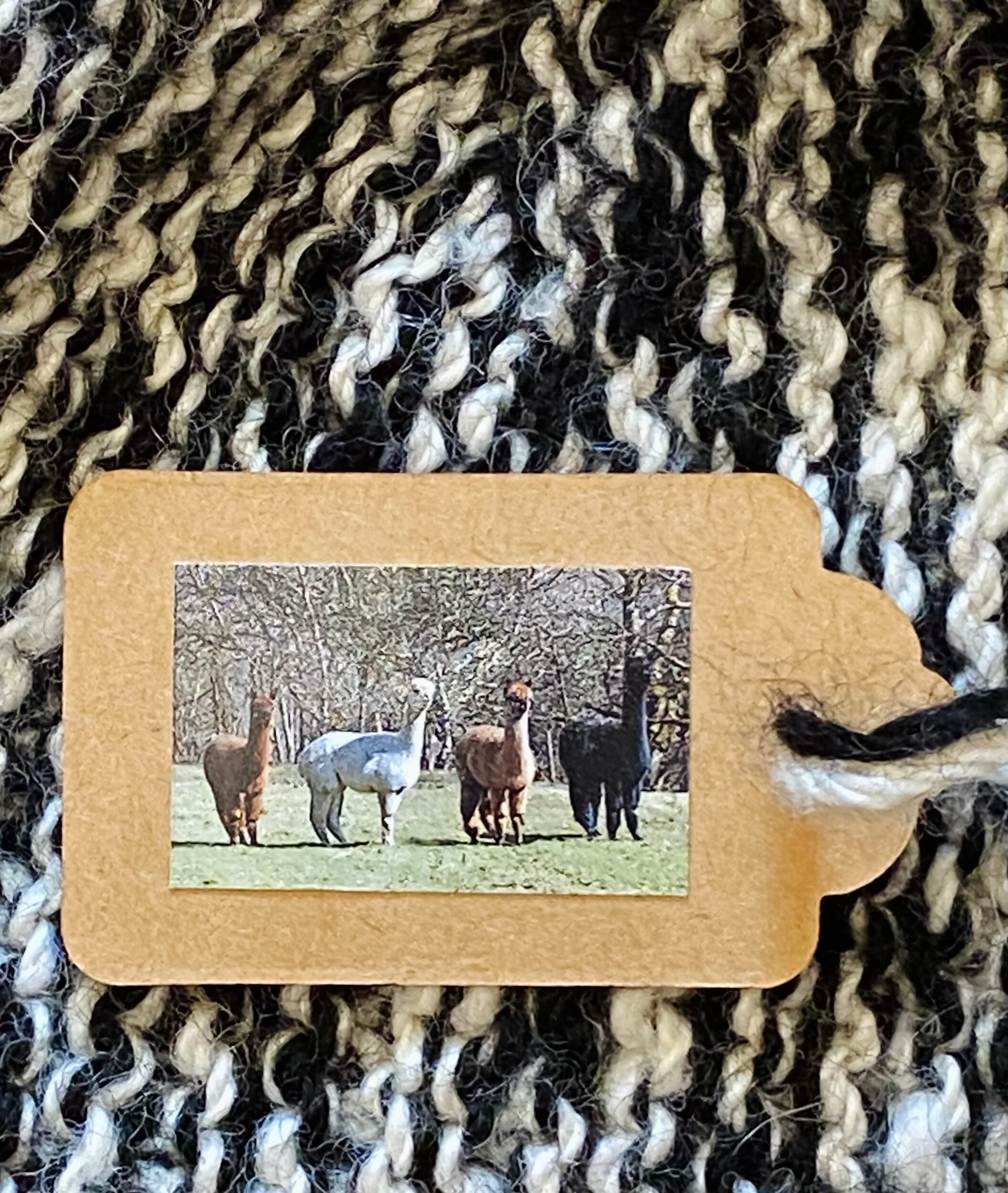 9EE57EFA-9386-4418-B535-8CD8F5AD50EE