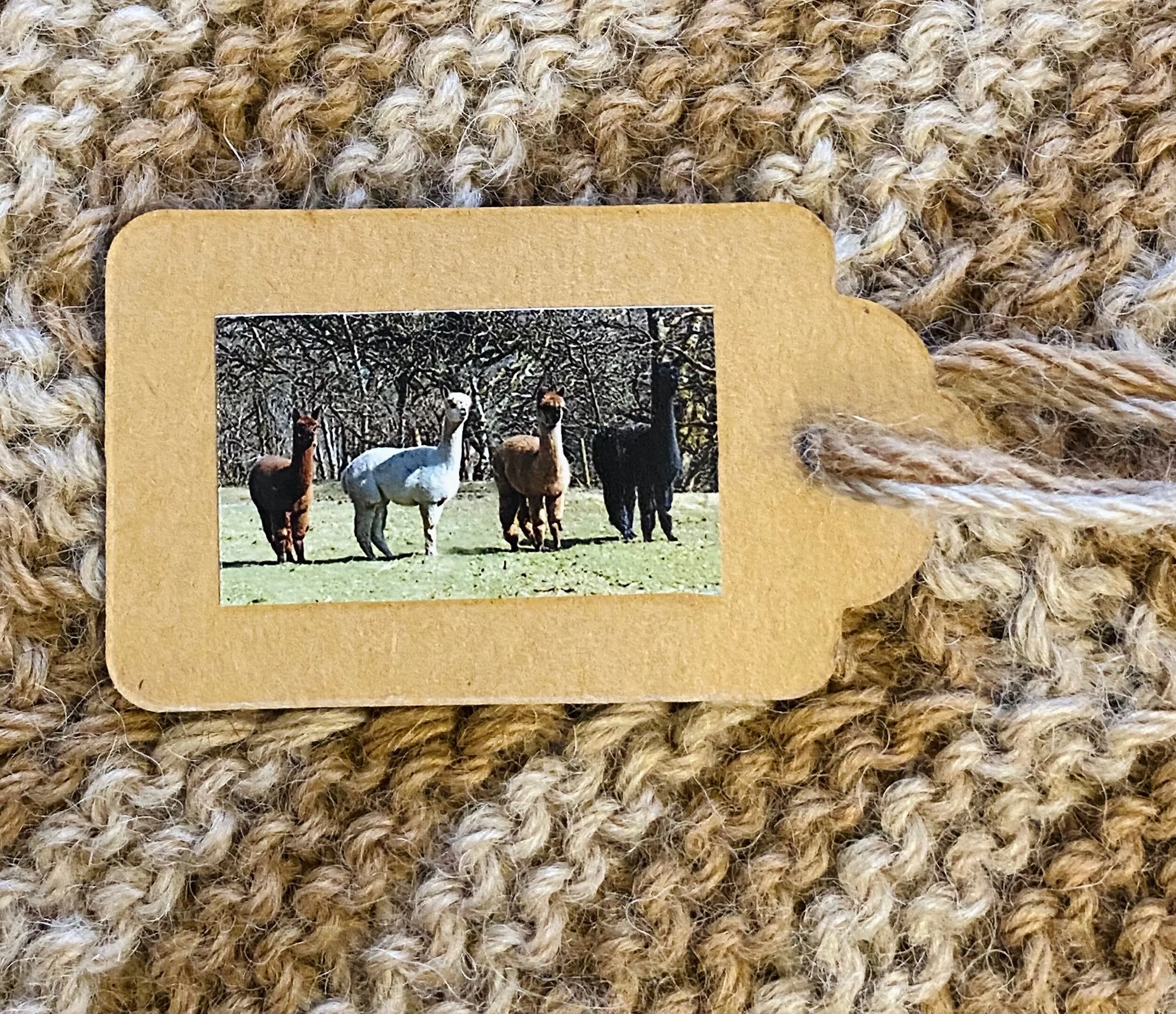 B2FB4DCF-BB65-4F07-BB65-CEB4800995C5