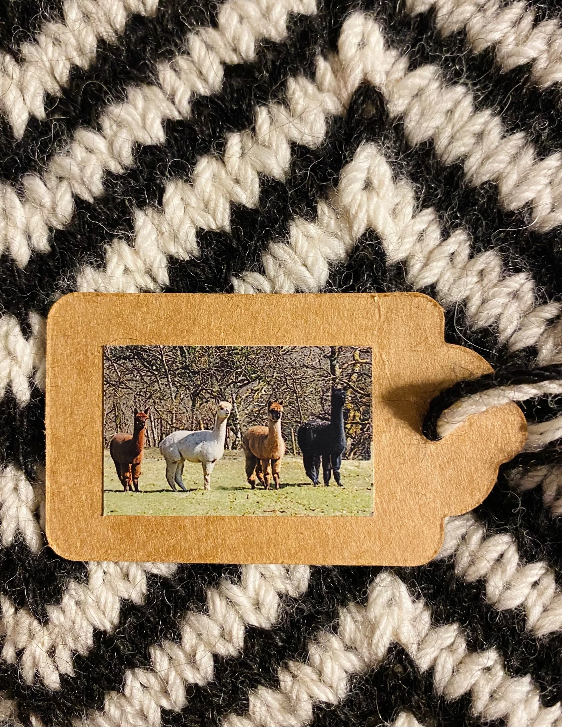 E211F765-5BB0-4936-ACD9-E9E1DE8ECA7D