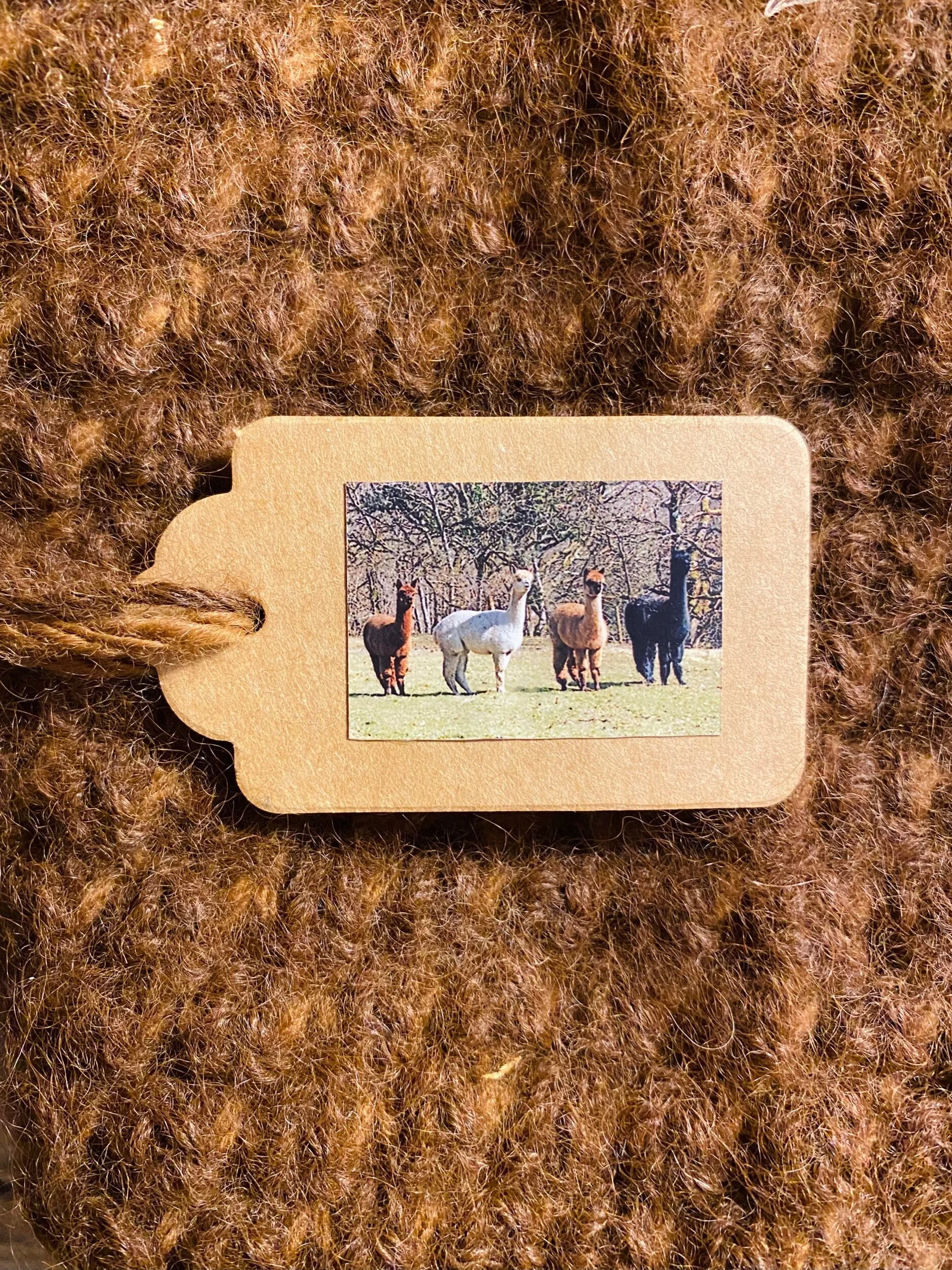 C280B014-1D06-4C01-96D3-456BDD0727B6