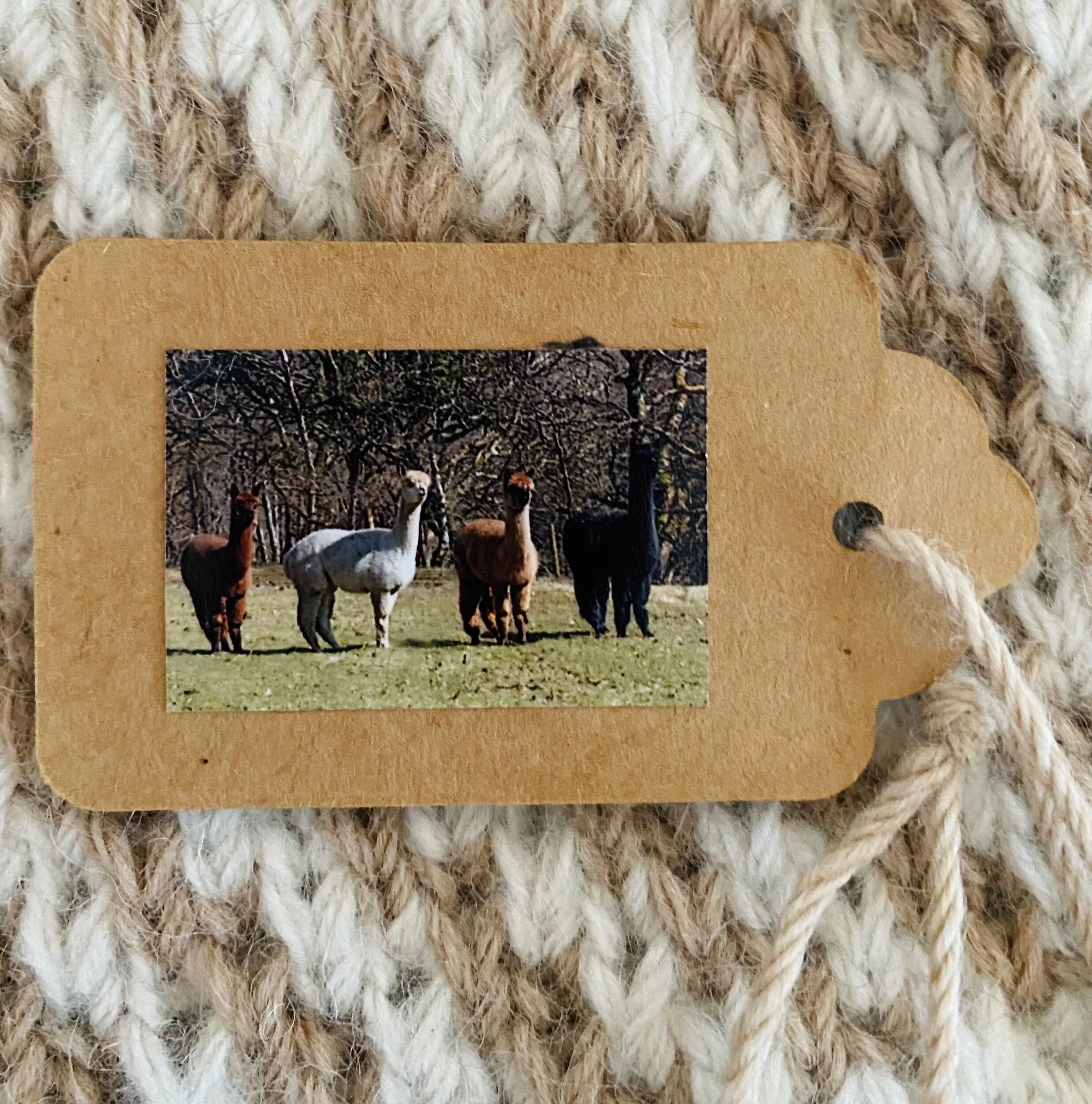 EFE72509-24E6-4261-956C-F2E33CFABDF6