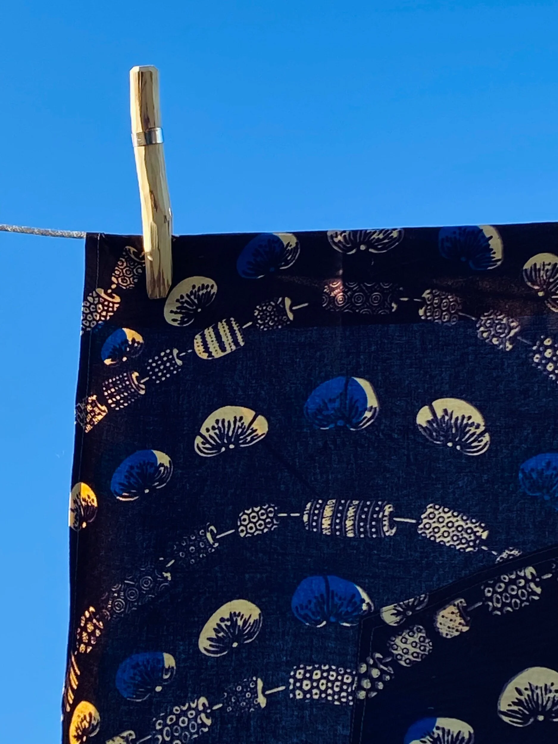 475E7C59-1C44-4A6C-AE0C-A8B0112F0D4E