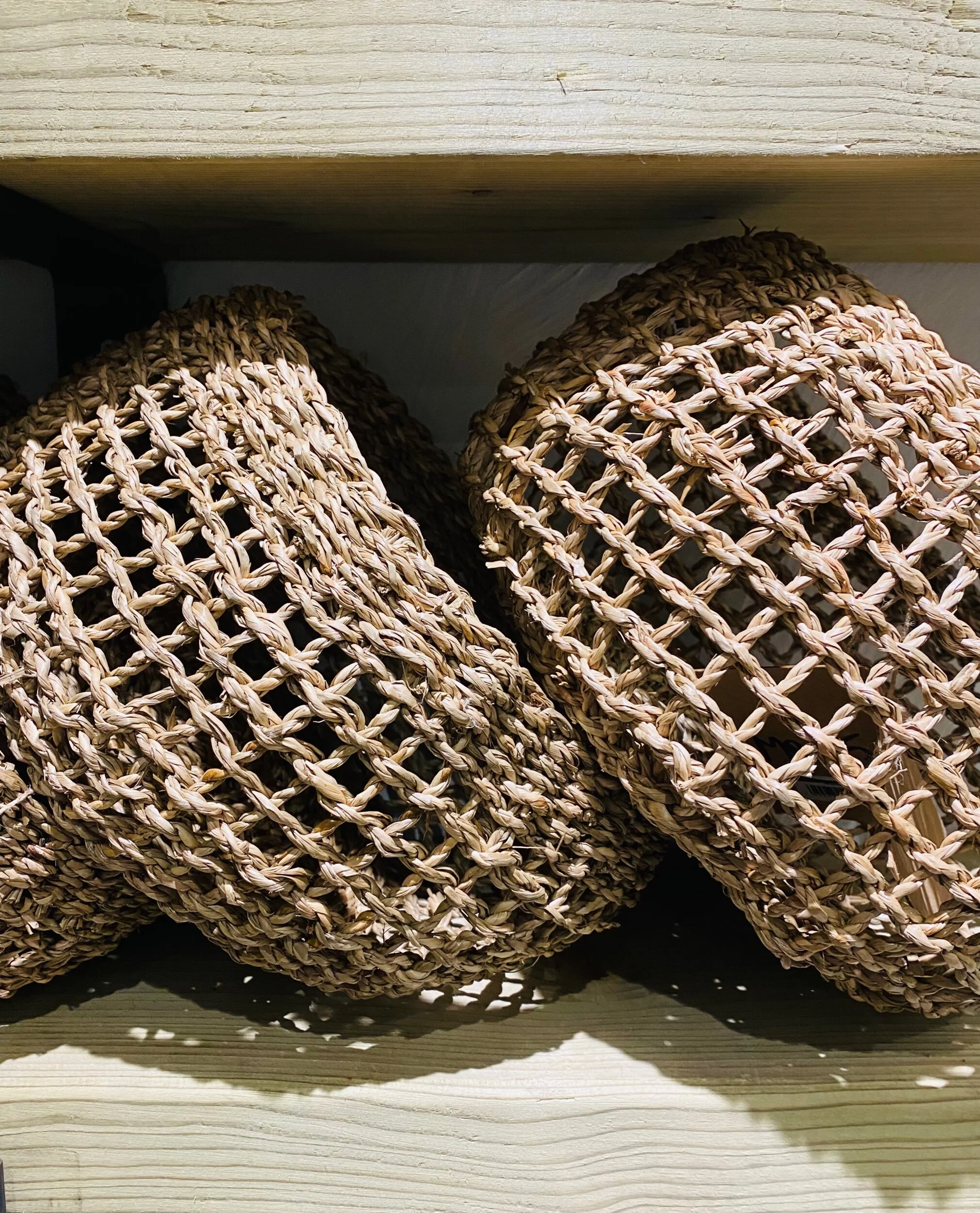 C8C25135-E10F-4377-99E6-7557722C2181