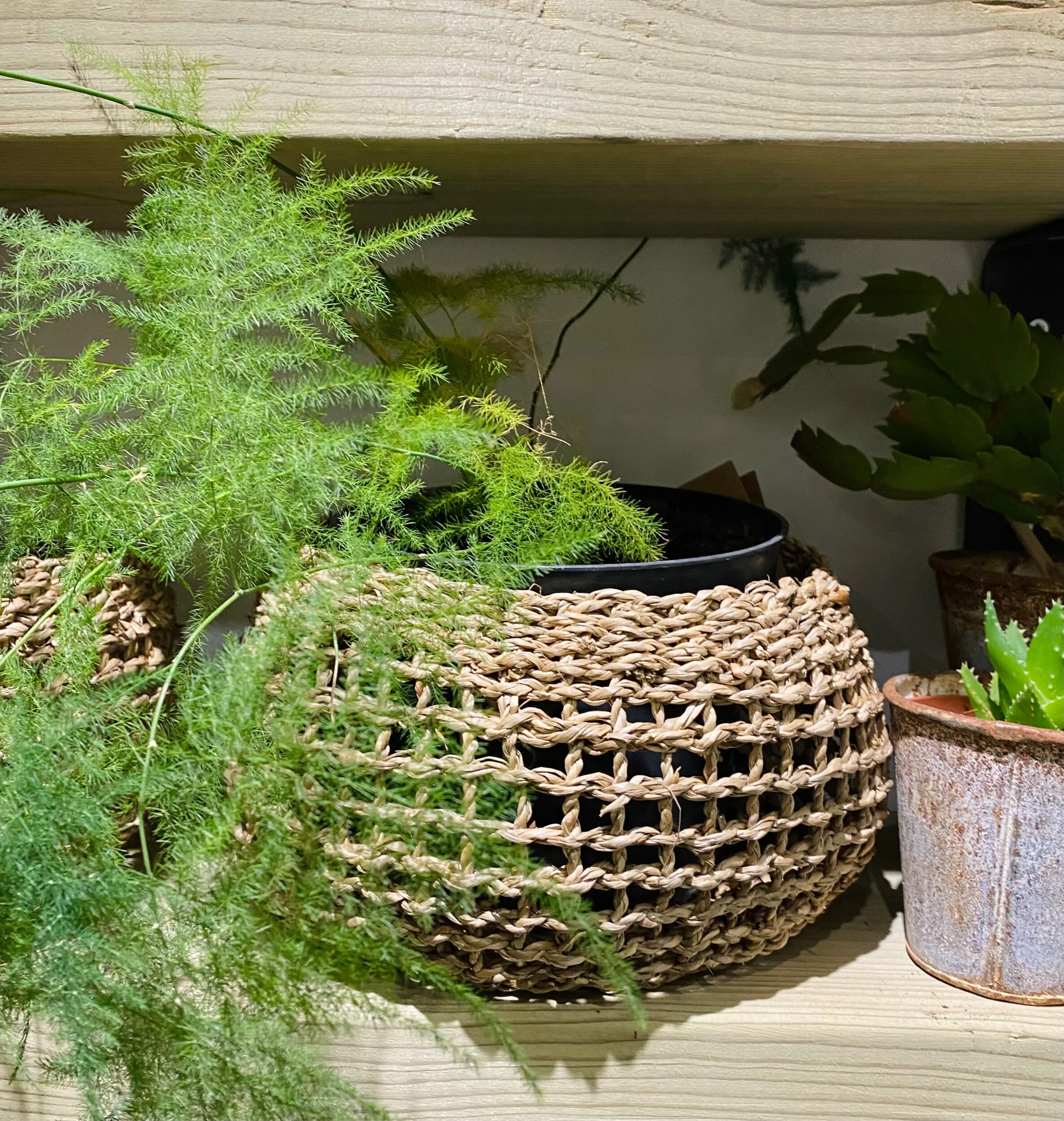 542FCE12-EC71-4150-8096-4E2441AB9C70