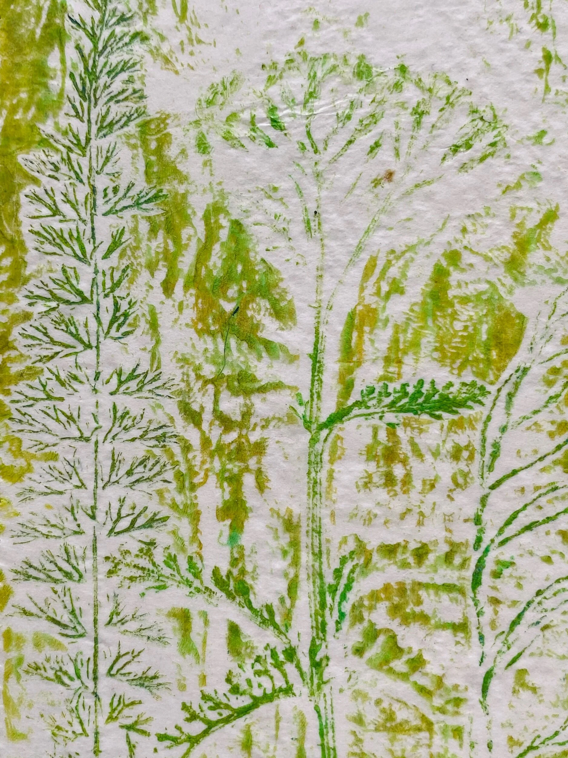 0569F8B8-87F8-4C9A-953D-0E031152E585