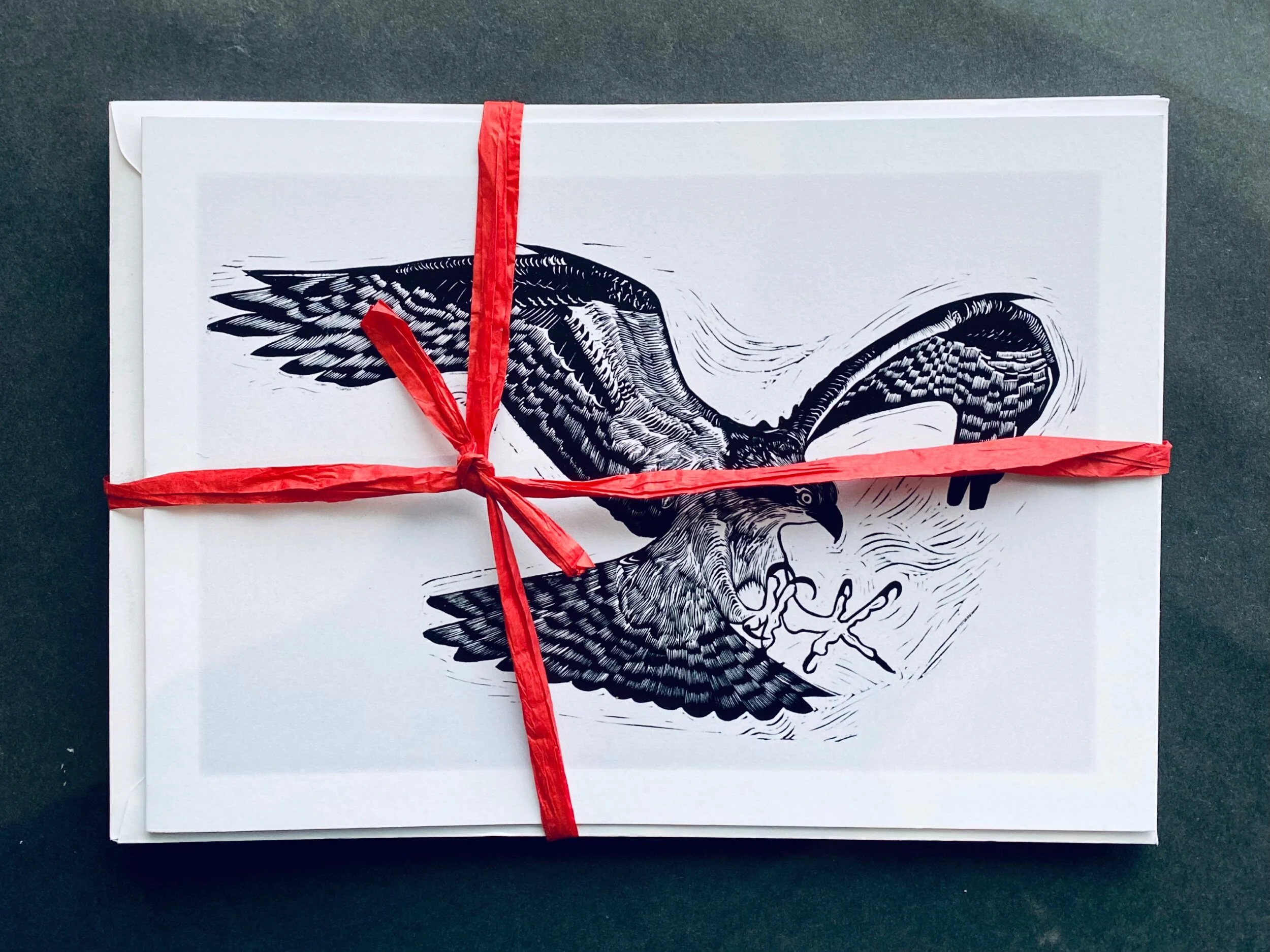 36F21373-8972-4255-B45B-113CA89F40BE