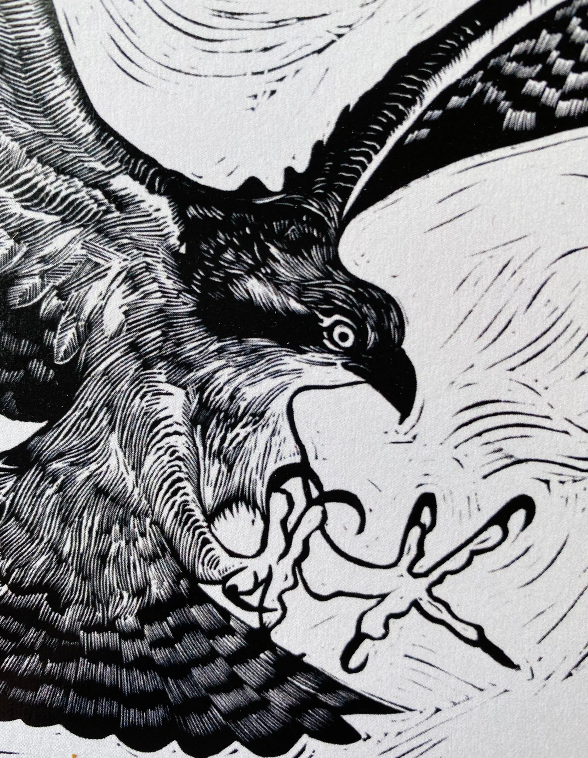 A7419BAC-C96F-430E-9B82-ED00D62ACC35