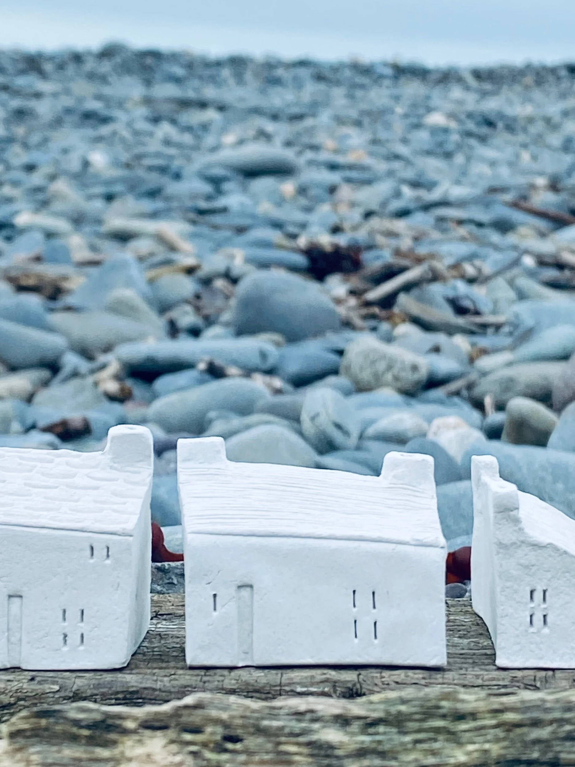 247F504E-D38A-476C-8081-248ED0C177C9