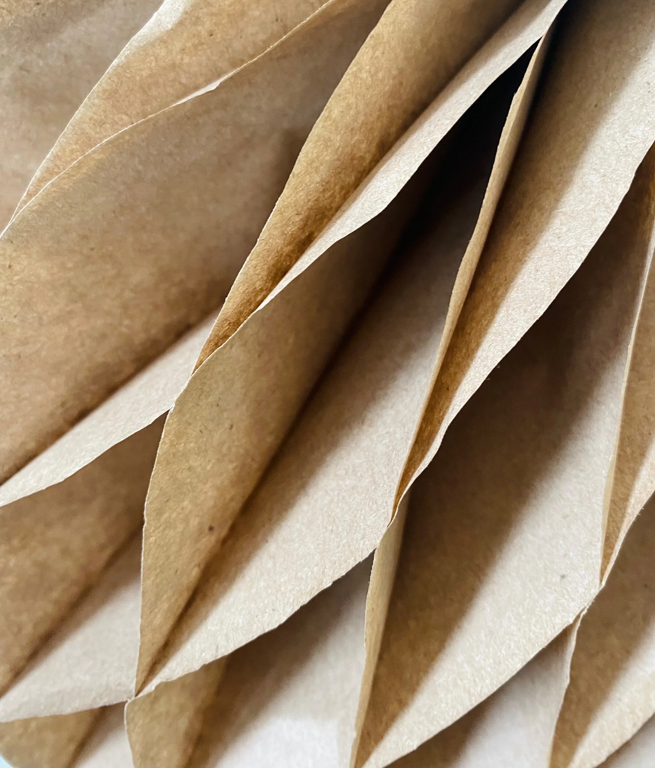 05553D37-2E84-414D-BF6D-78E559EA6AB5