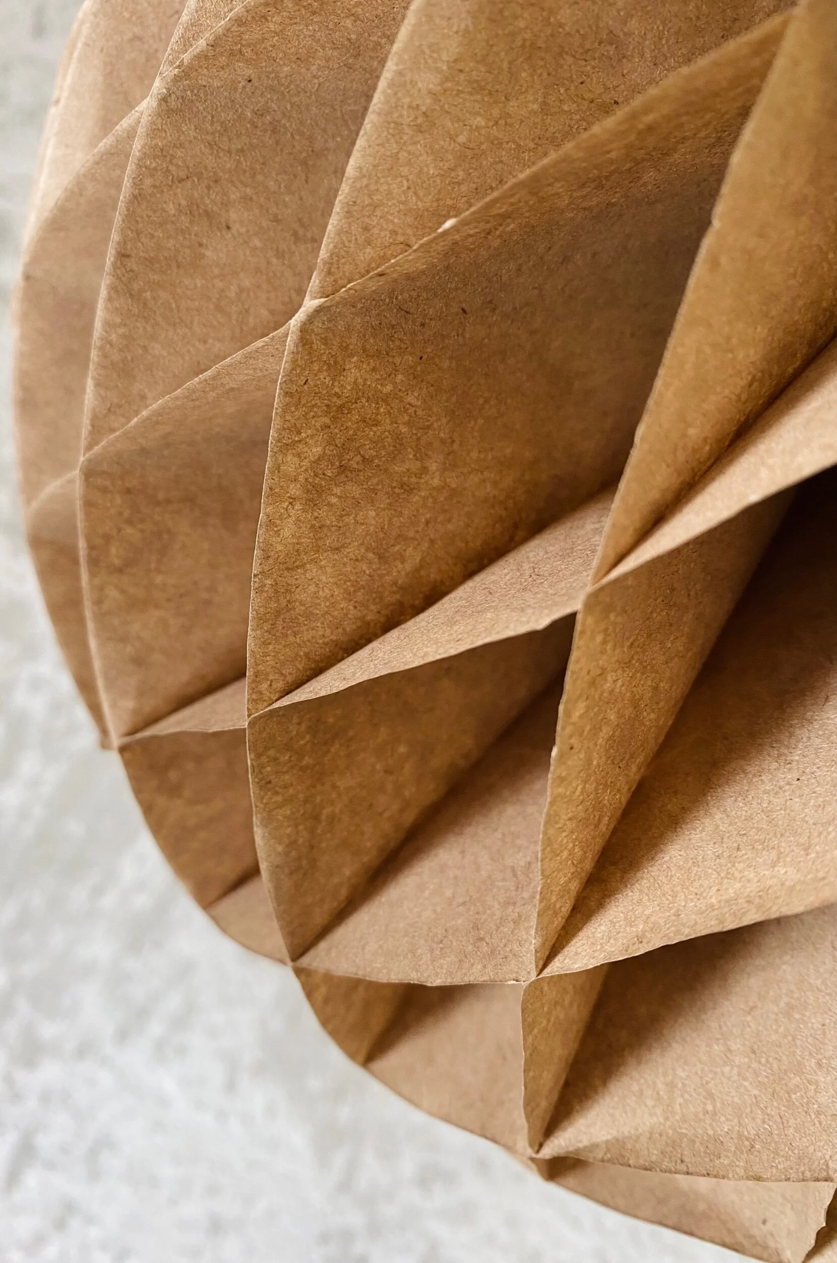 0929FF96-2E5A-42D6-BF3D-8B2053770CE0