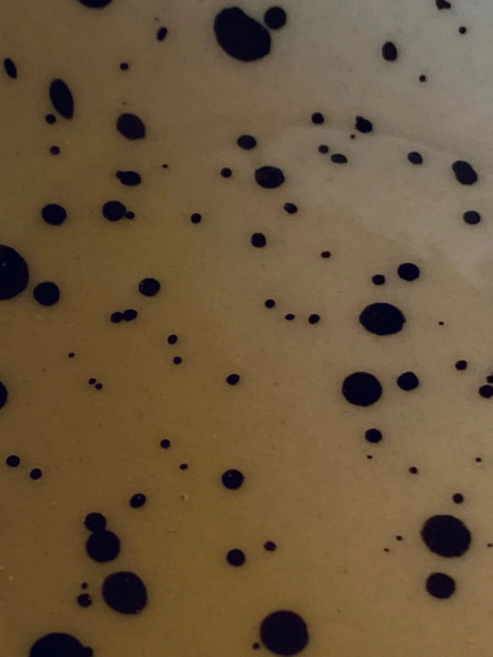 5C16E826-6016-49B2-8B0D-69C942E216C5