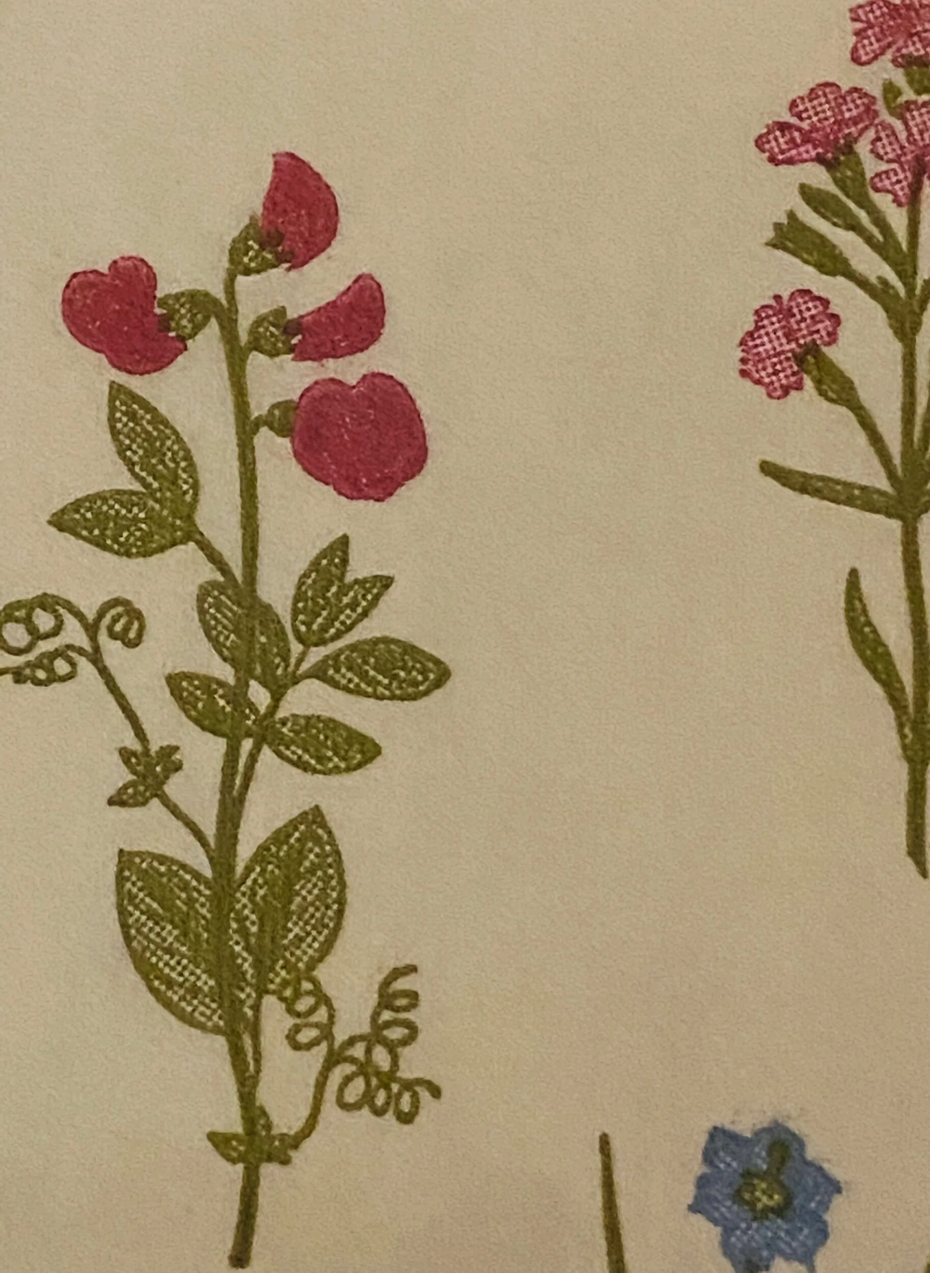 6EFFC7F7-55D6-4003-8616-BA93942F952A