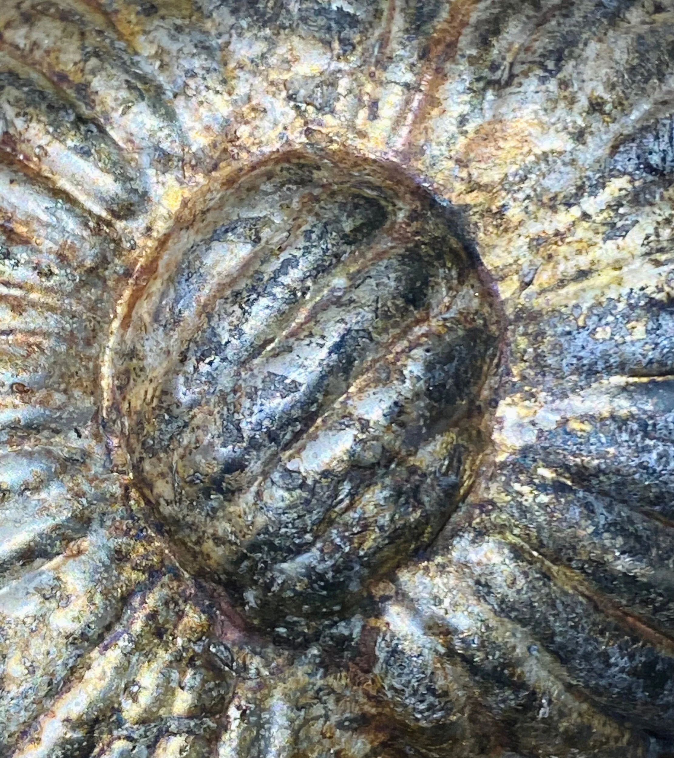 99BA5C89-87C3-4F34-83BE-83ACBE4A3246