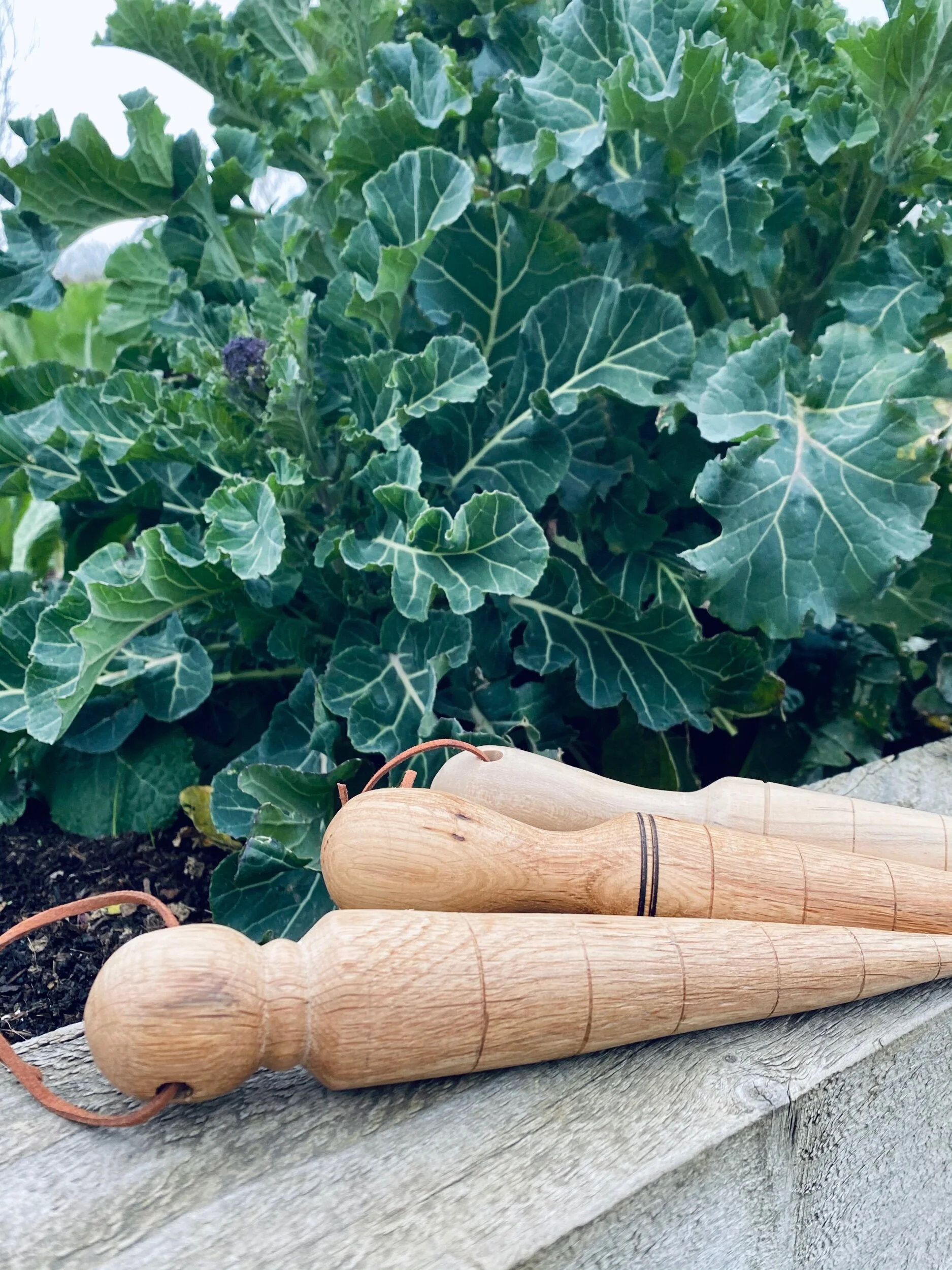 F2551922-A042-4504-9AFF-C4E1A0D527B3