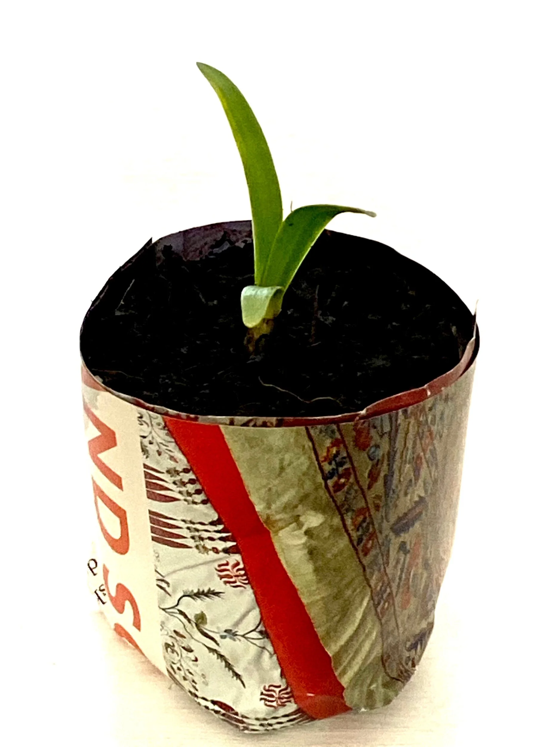 962116C9-6CEE-469B-B099-9451FC2983AE