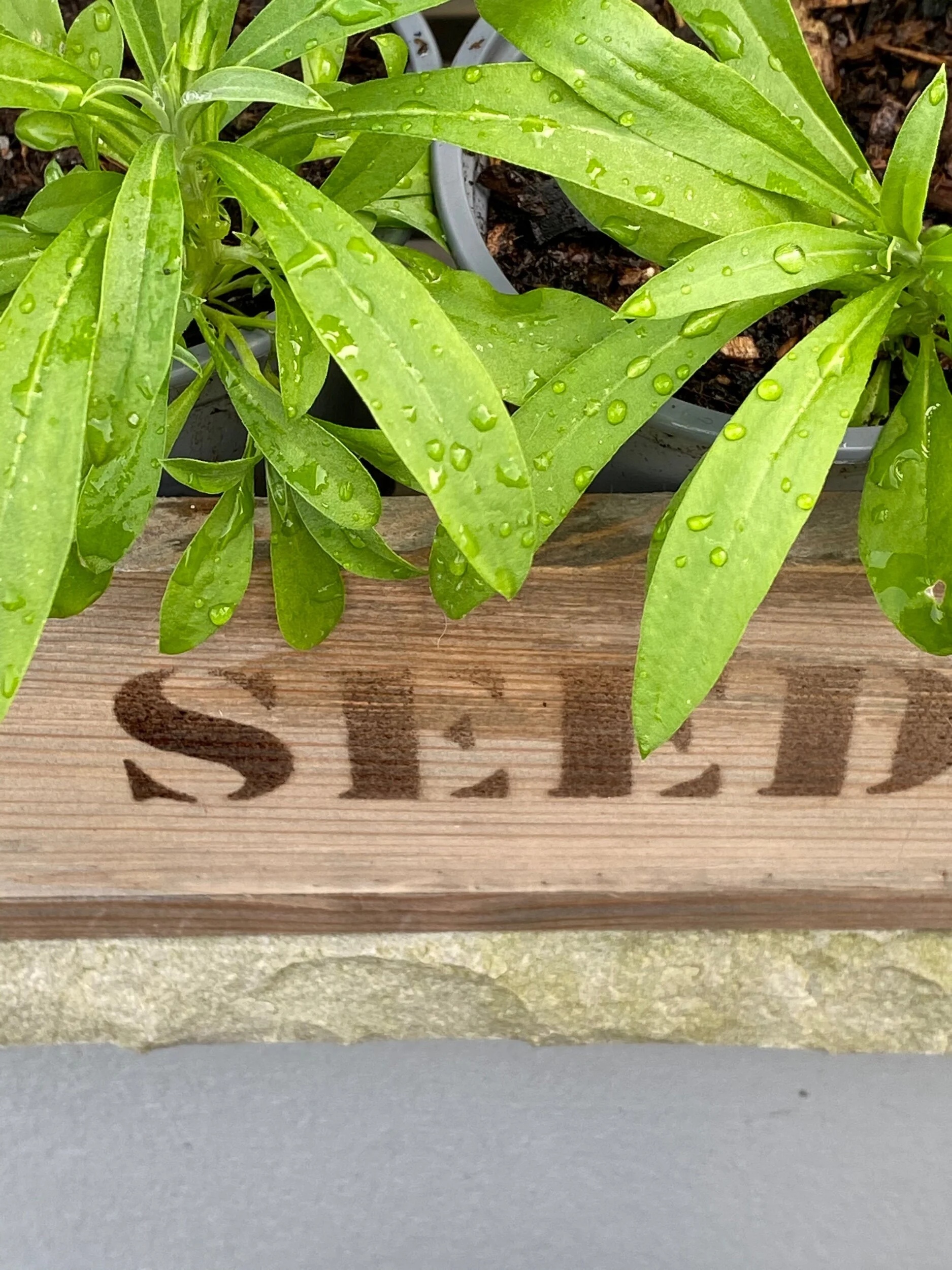 977233D2-E130-4FE8-847B-B81E6BF367B8