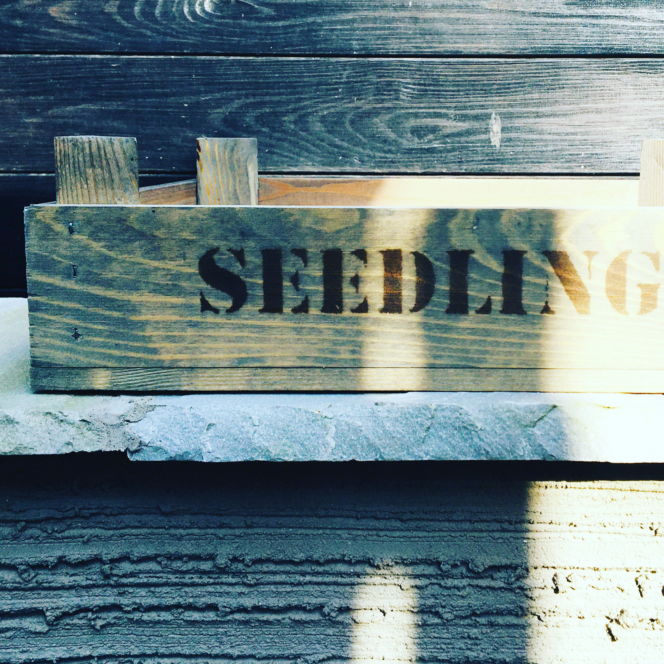 2654D420-178F-4CAE-8120-1D578A500268