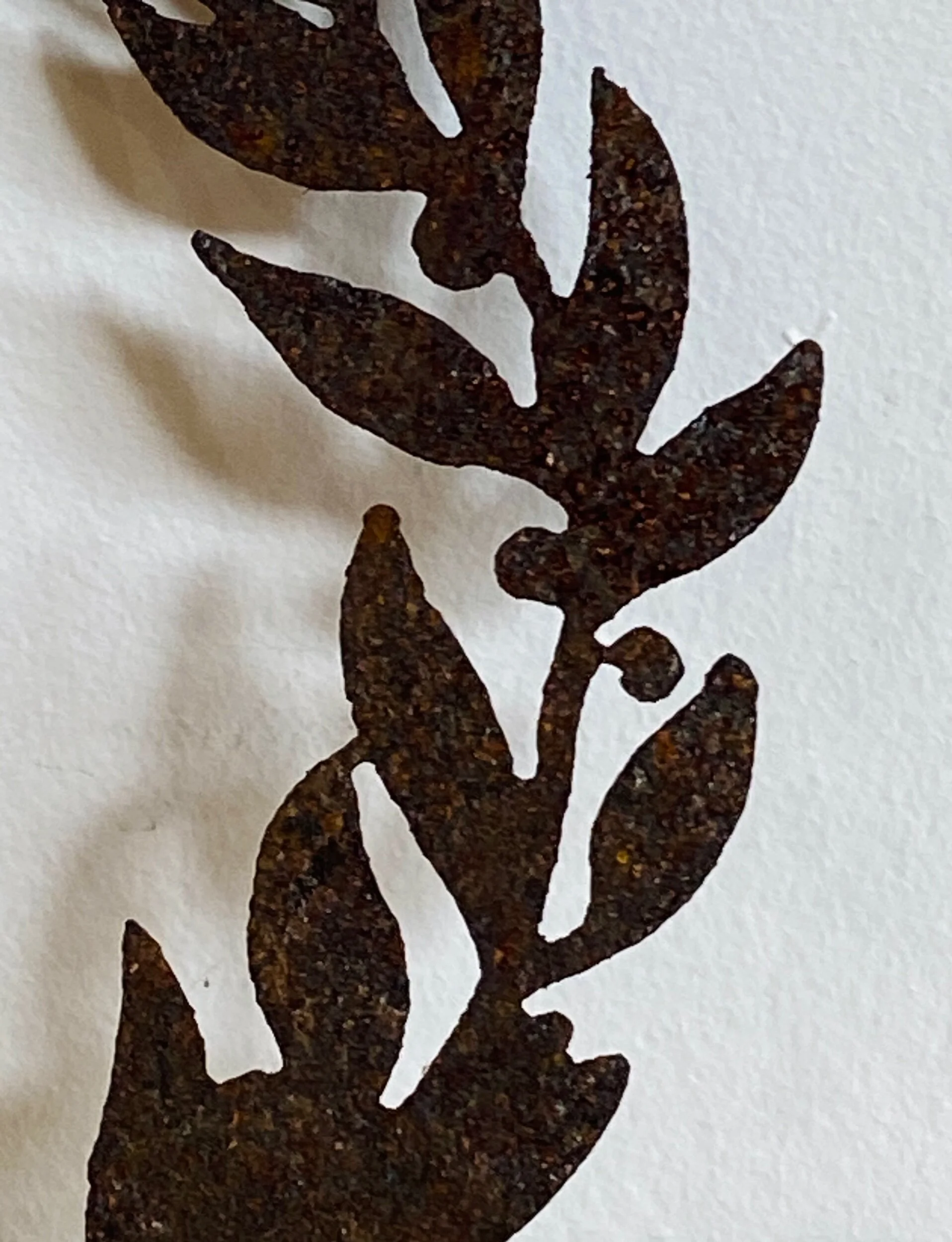 C110216E-B5A7-42BD-BD02-B40EFEE656F2