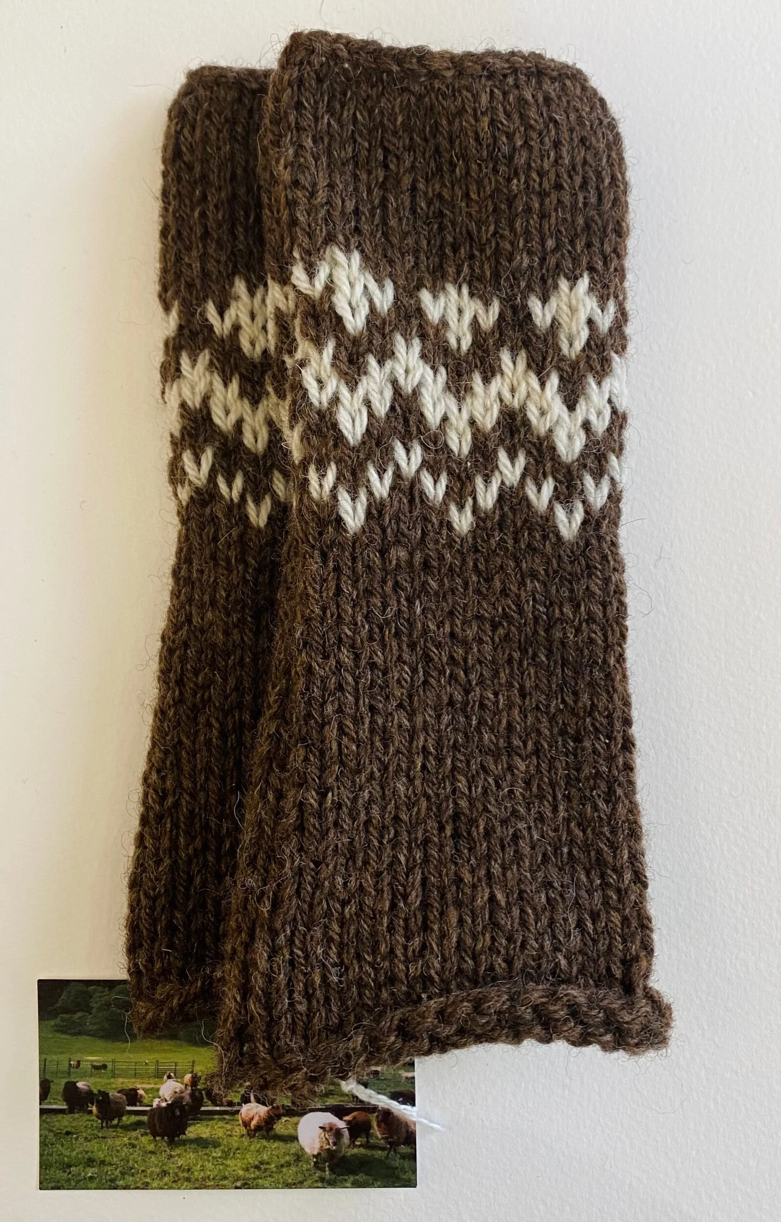 3CBFEA2F-557E-4104-8AC9-E55EFE866BE8