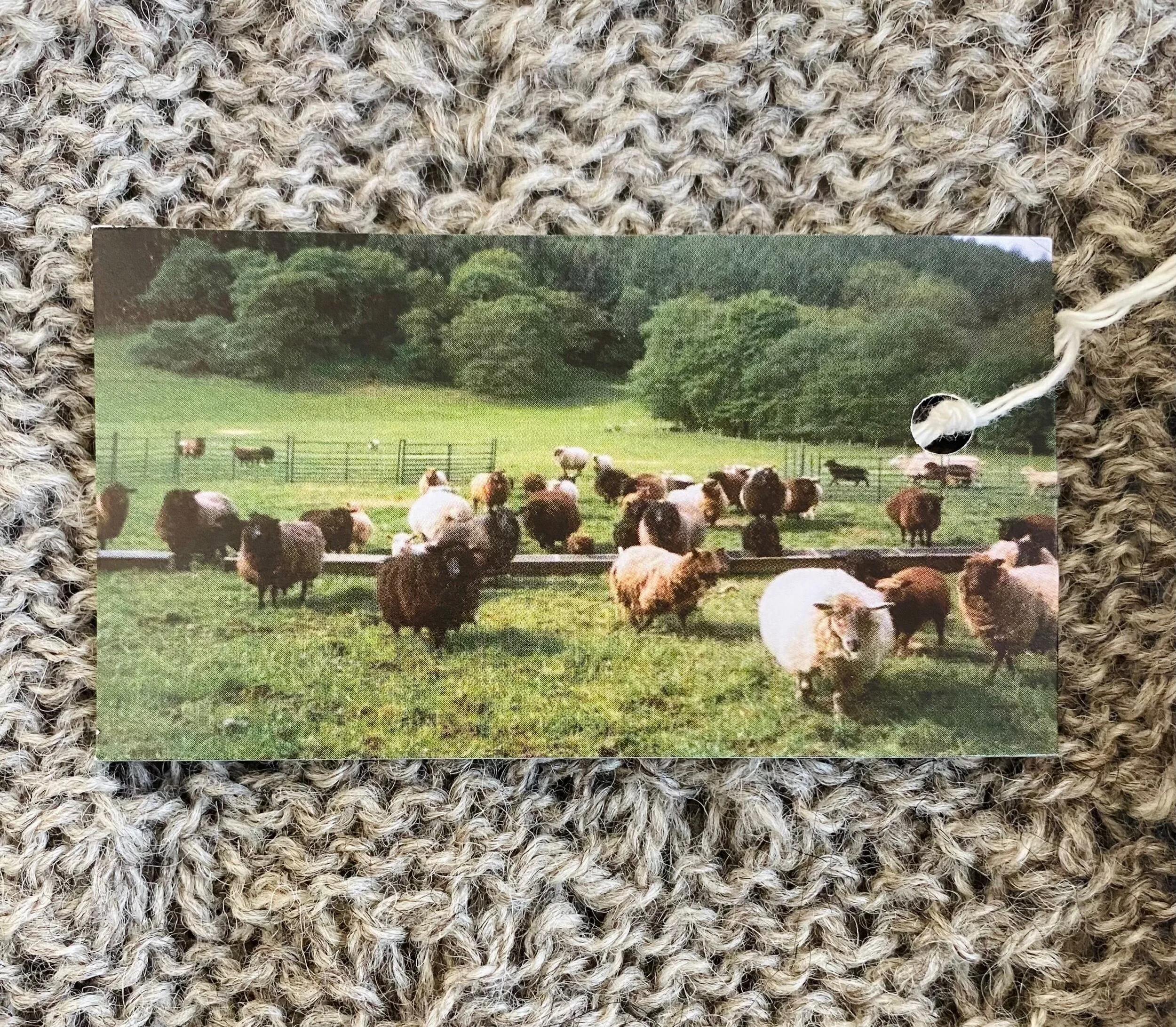 9949EB7D-CC8F-4067-9AAA-AE9FEB91DE16