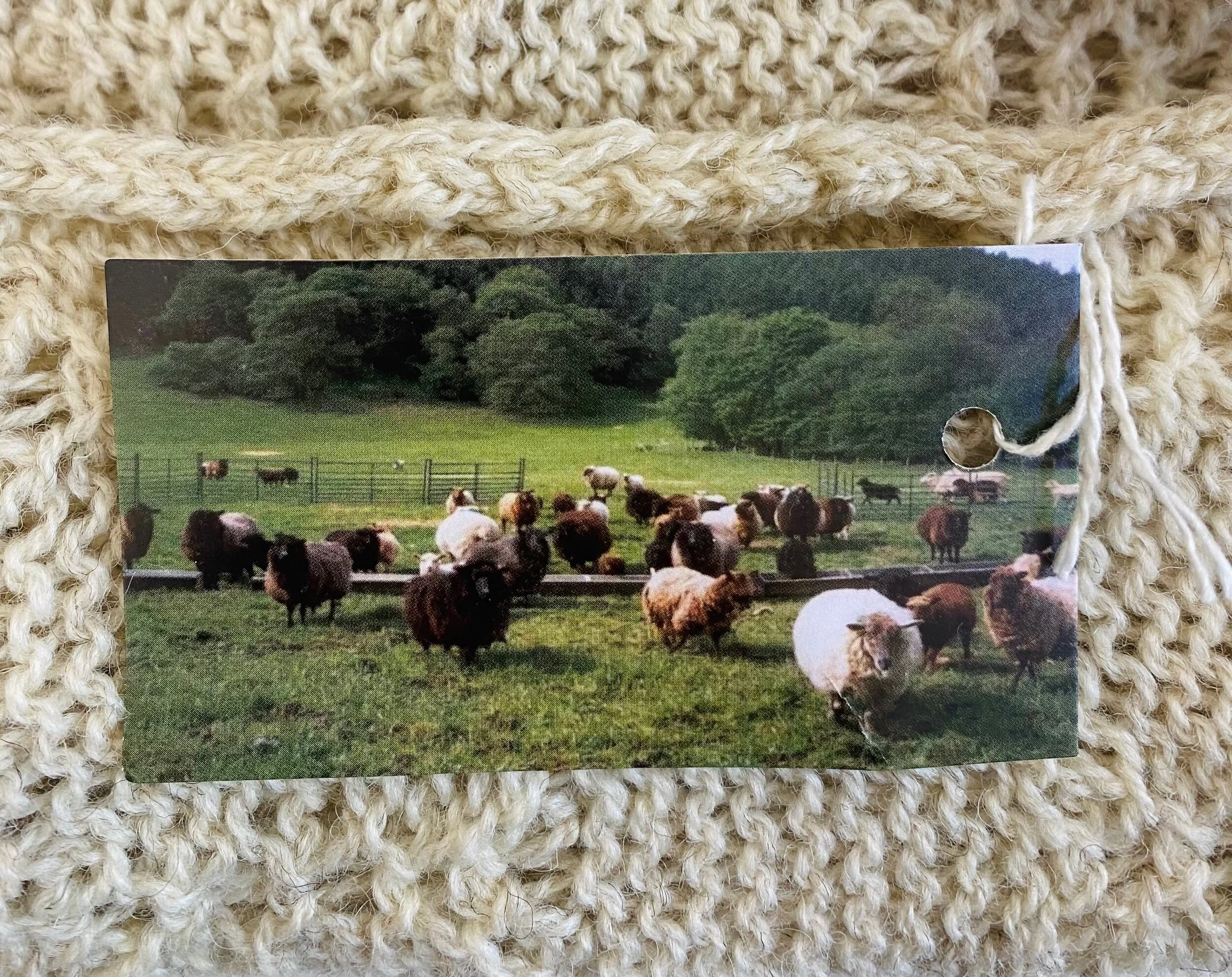 F5CD1343-11C2-4913-A6E5-90C3326F24D2