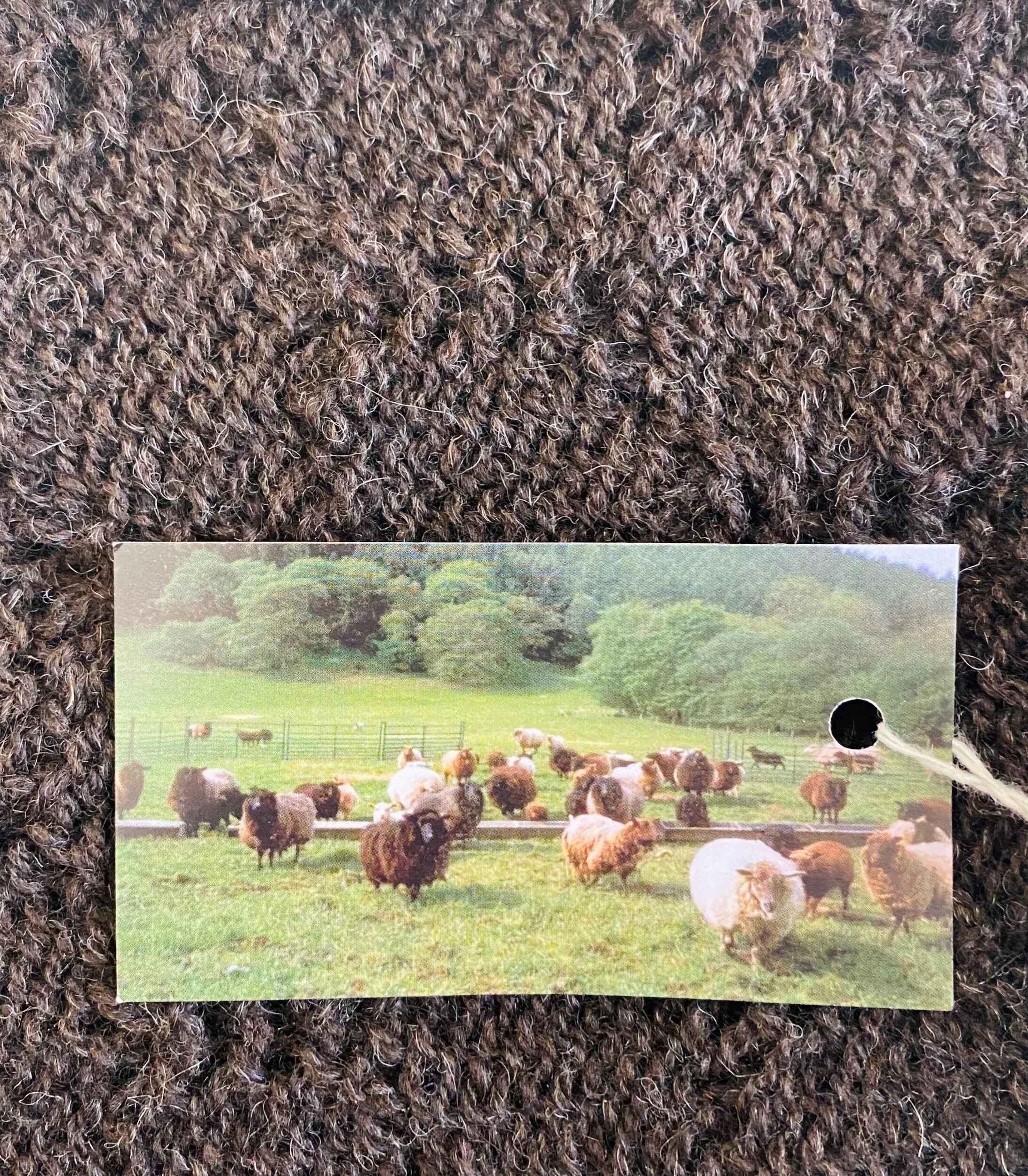 9756BA63-4230-40A7-88BA-5993D4607B67