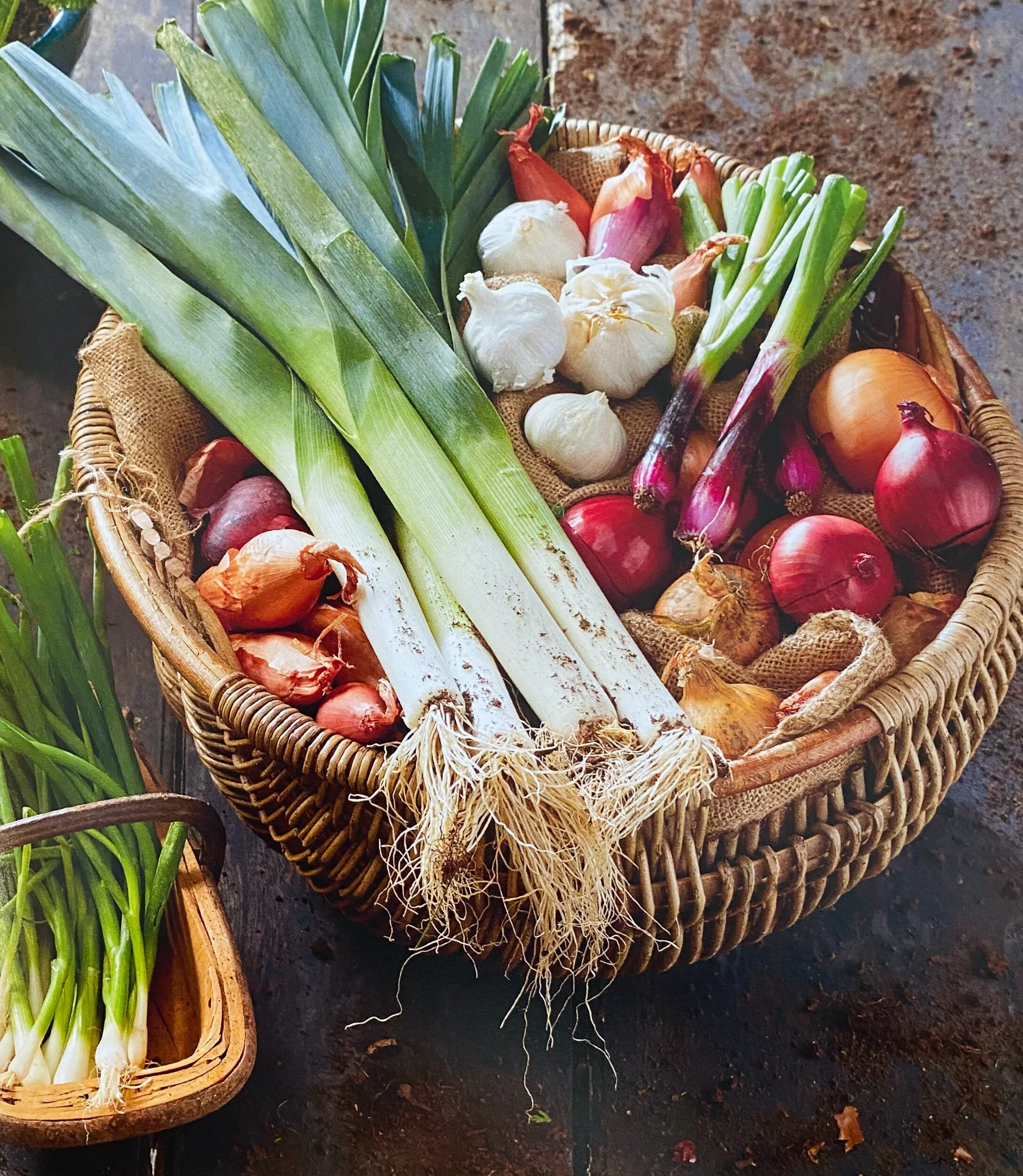 495F13EC-6464-4430-8AE9-6FC0A1181788