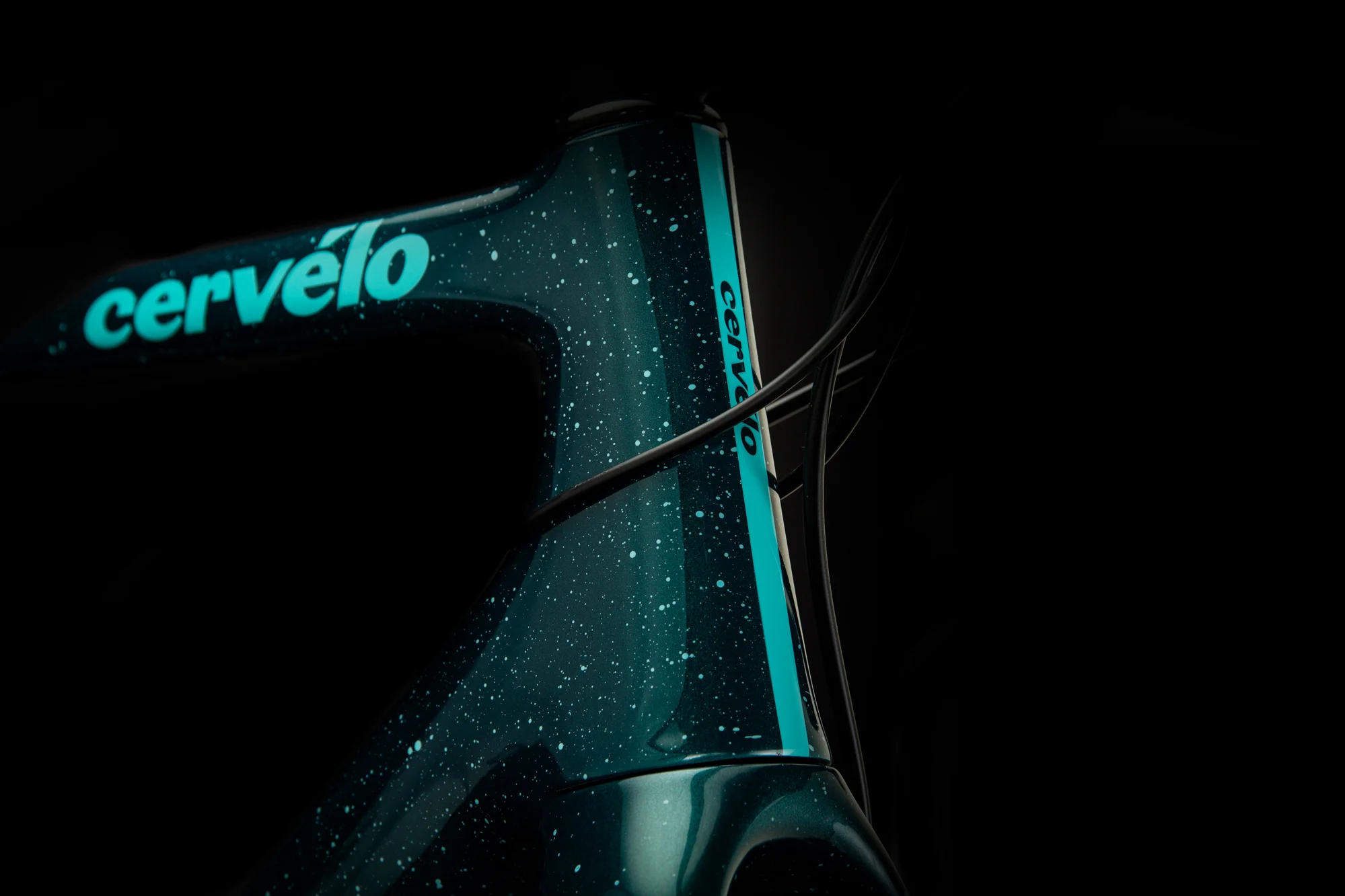Aspero Teal_Details_04 (1).jpg