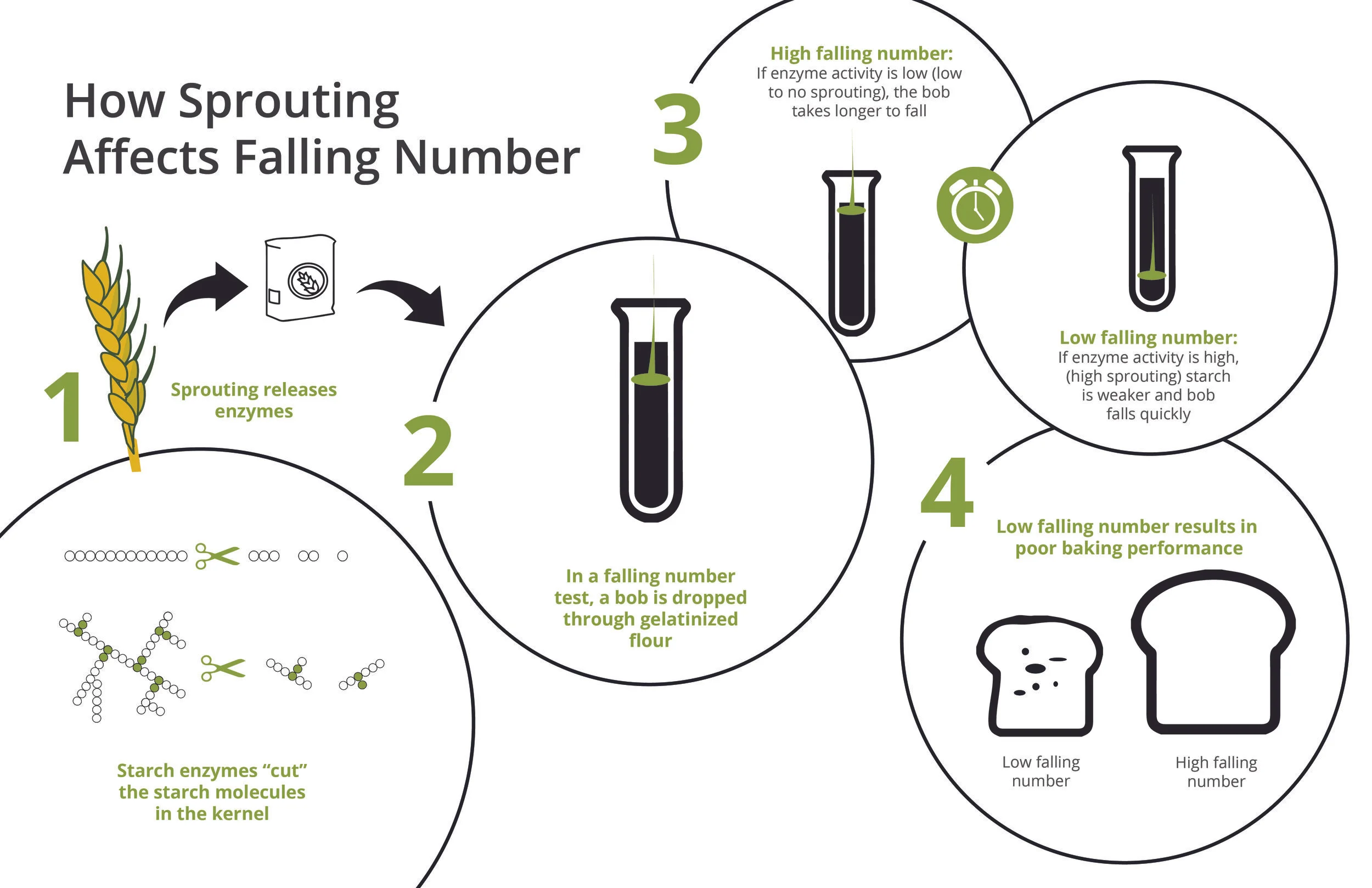 2019-GP_SPOUTING_FALLING_NO_INFOGRAPHIC_FINAL-01-01 (3).jpg