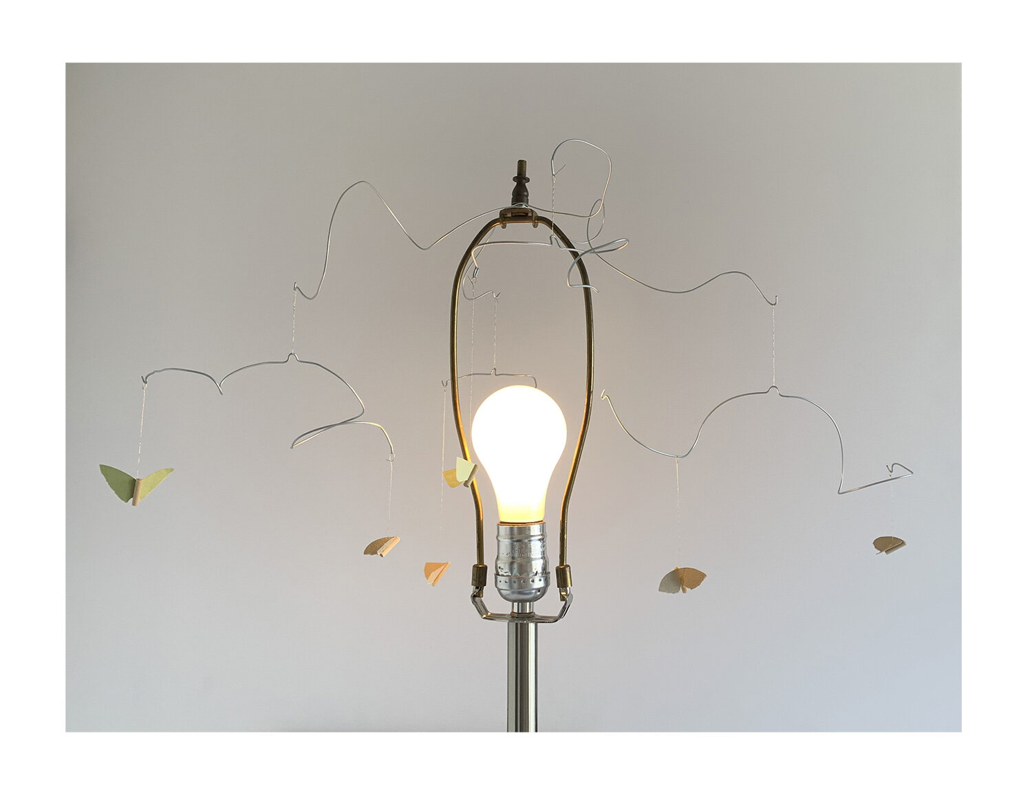 Moths (Detail)