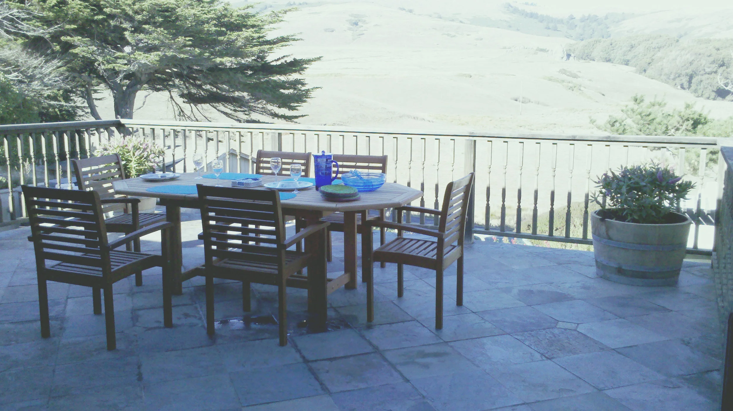 Cliffside Coastal Cottage Vacation Rental Bodega Bay, California