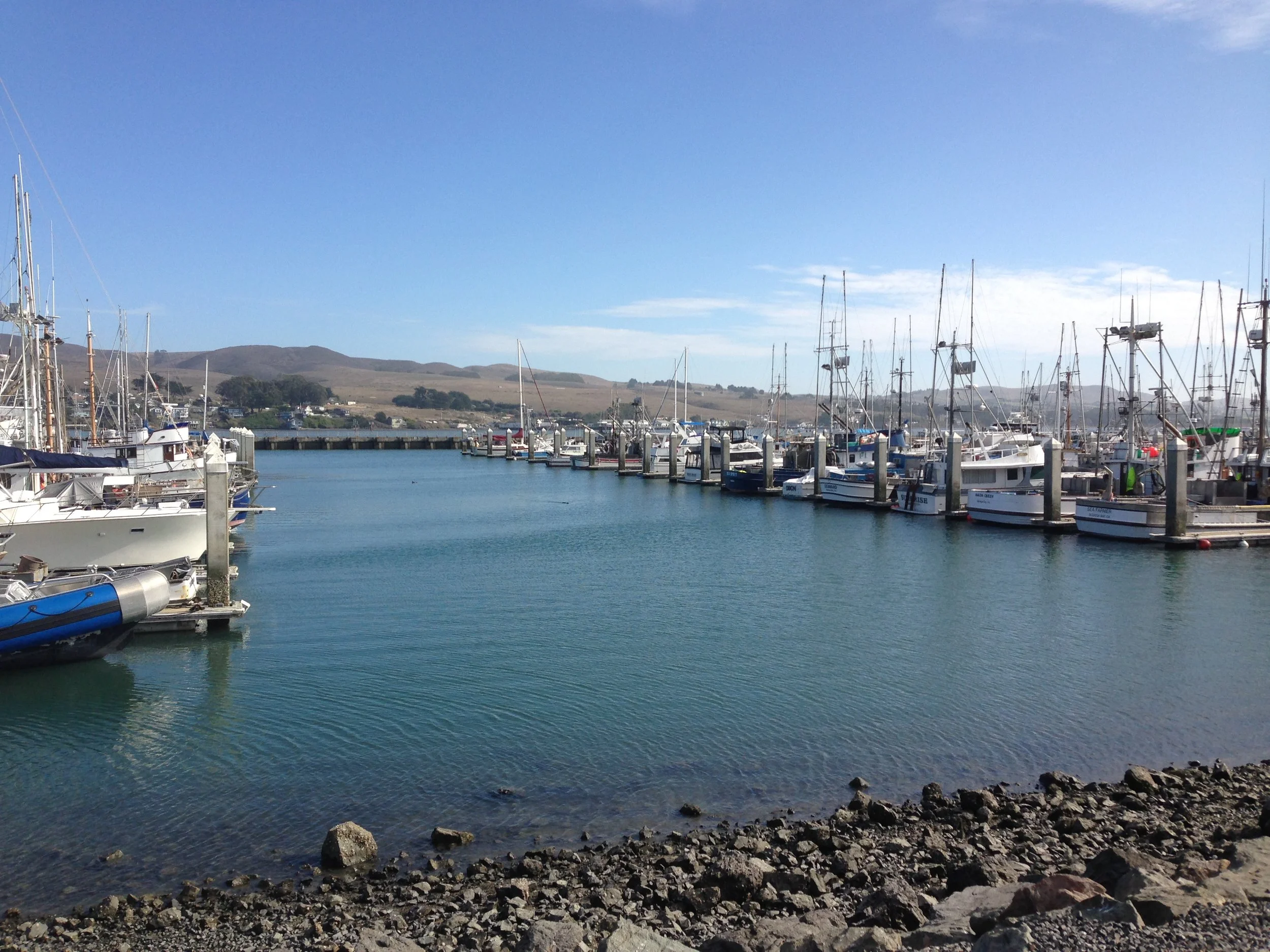 Cliffside Coastal Cottage Vacation Rental Bodega Bay California