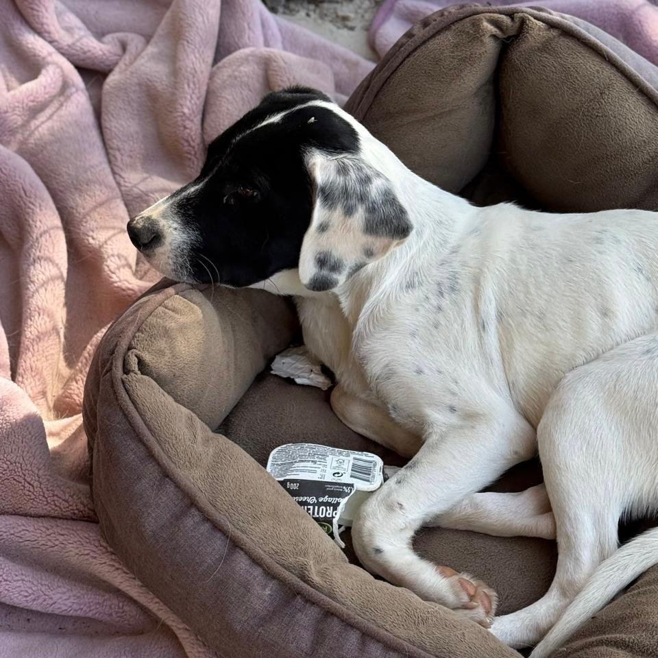 WhatsApp Image 2026-01-22 at 14.24.51 (4).jpeg