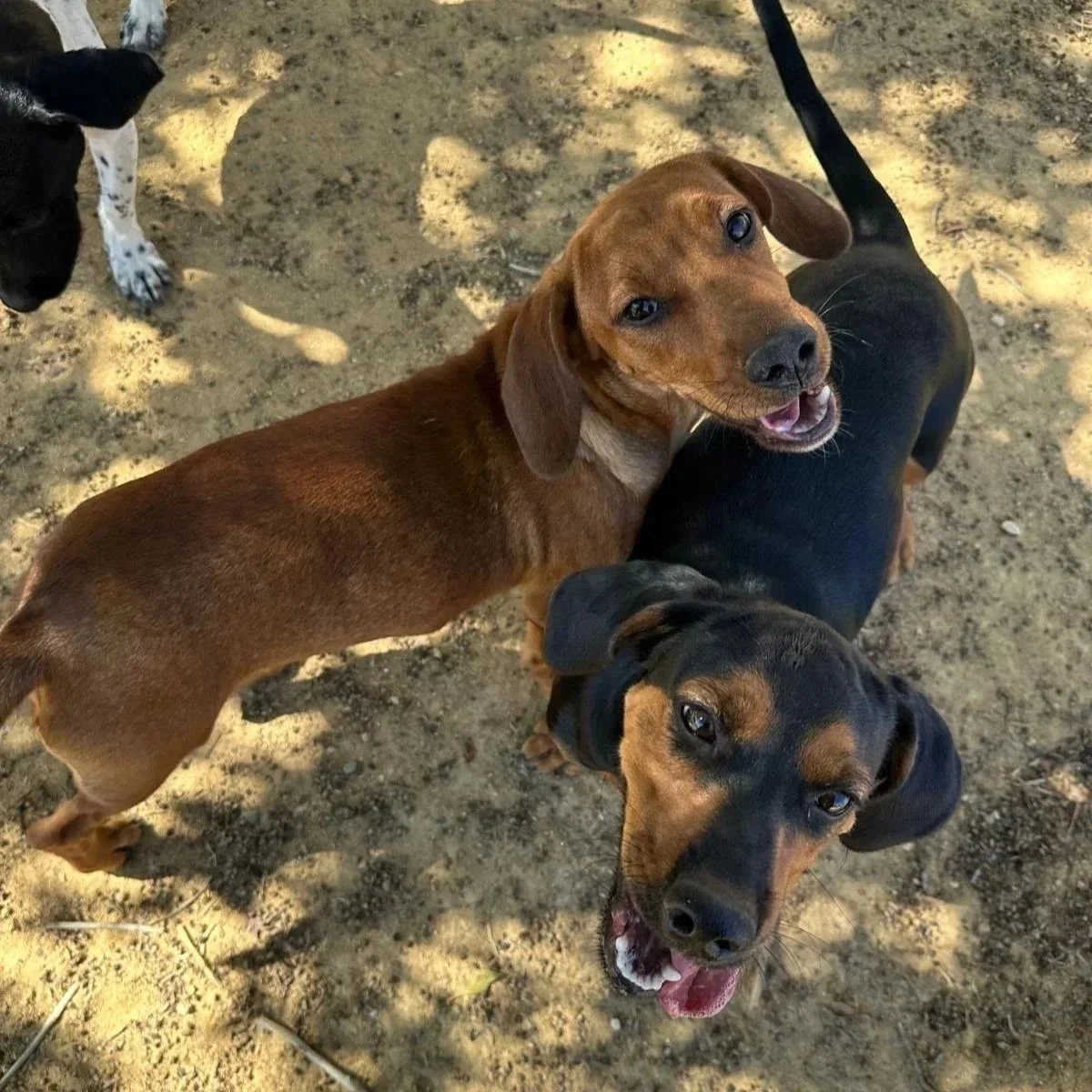 WhatsApp Image 2025-11-19 at 11.05.20 (2).jpeg