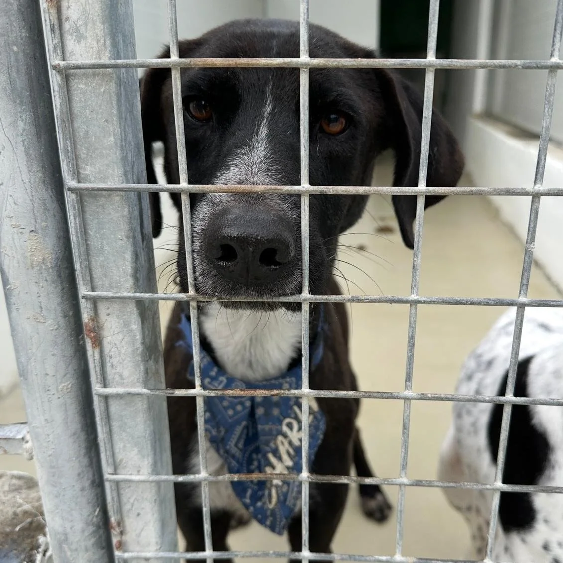 WhatsApp Image 2026-01-22 at 14.23.35.jpeg