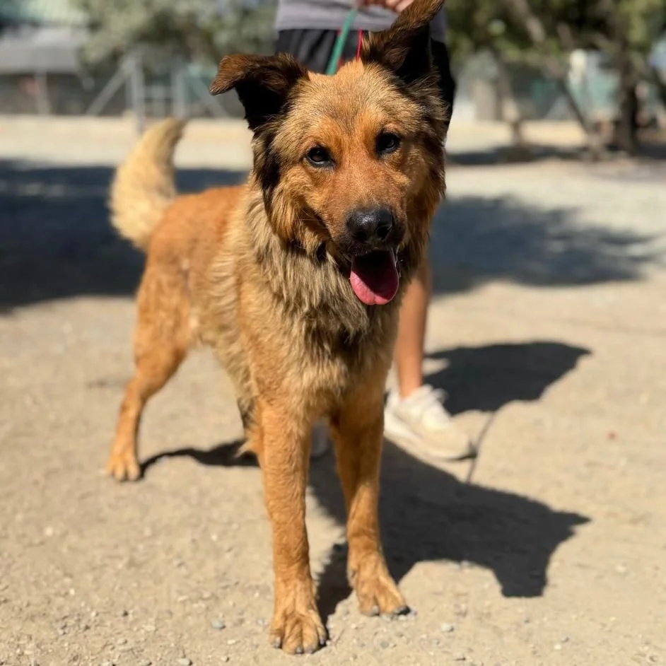 WhatsApp Image 2026-01-22 at 14.22.50.jpeg