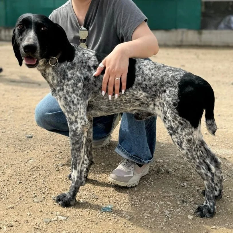 WhatsApp Image 2025-12-26 at 18.55.12.jpeg