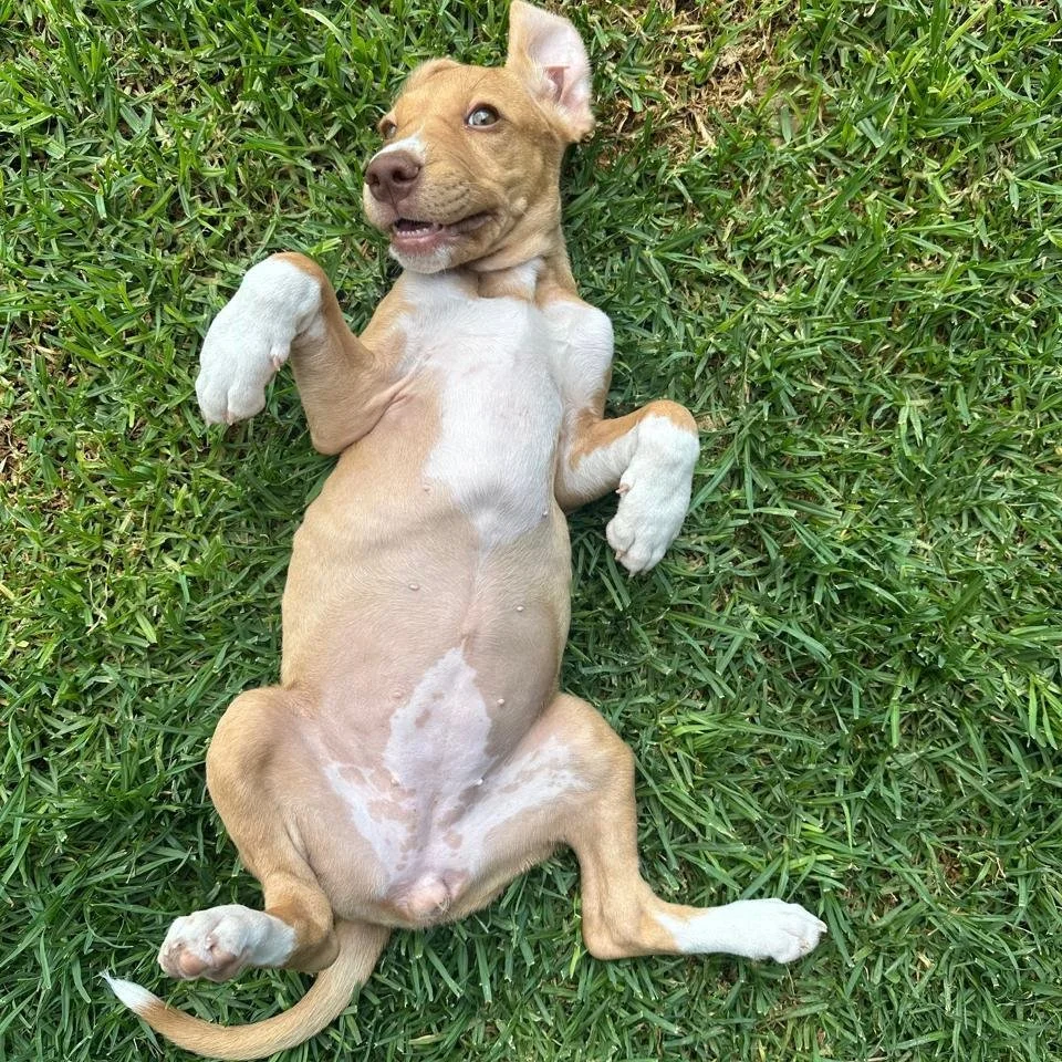 WhatsApp Image 2026-01-22 at 14.24.20.jpeg